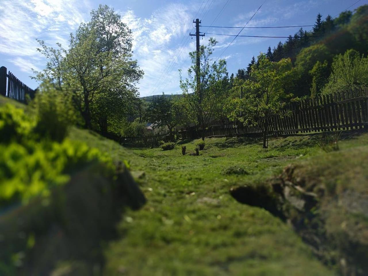 Chaloupka na konci světa