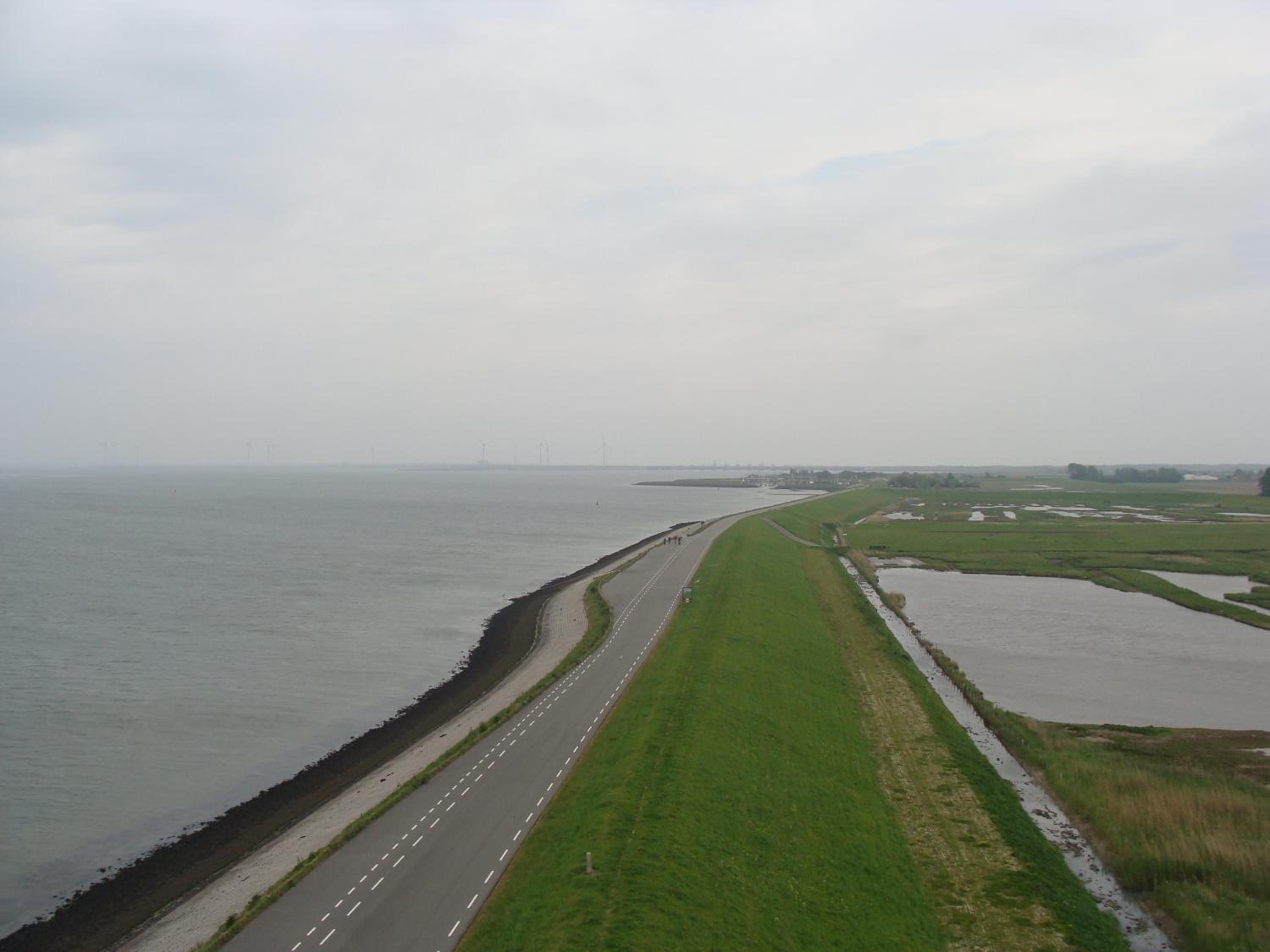 Zonnedauw