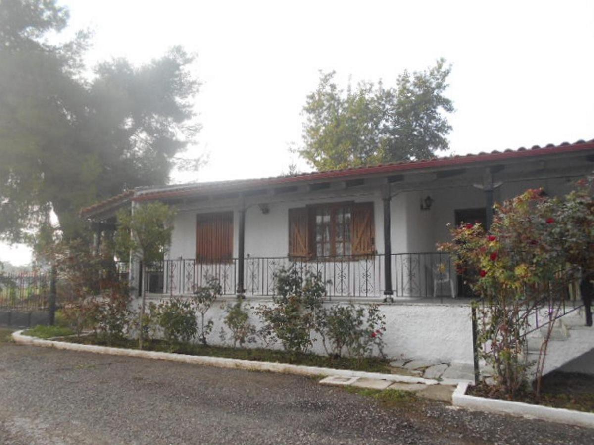 Next to the Aliartos Gardens view 2