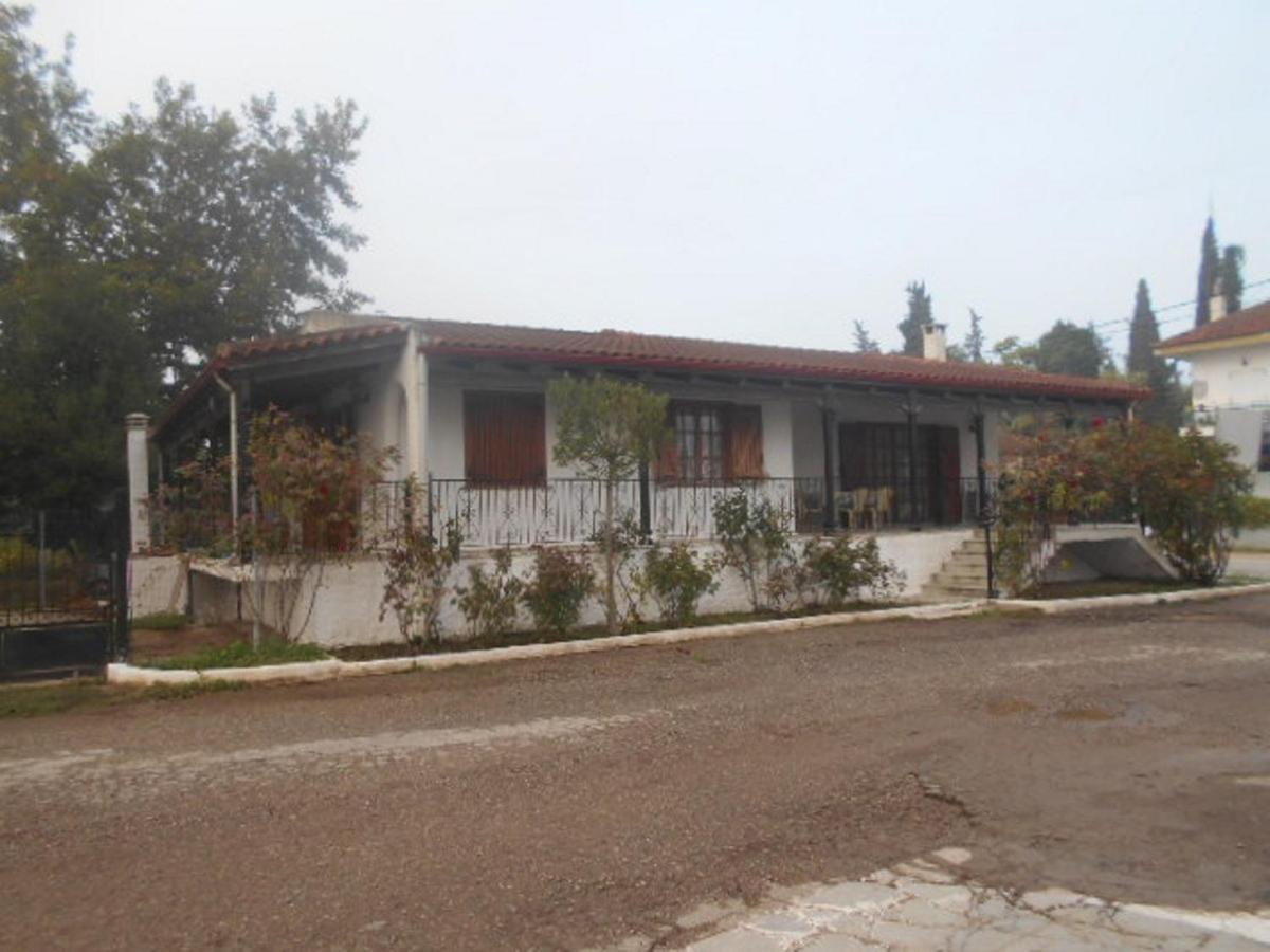 Photo 40