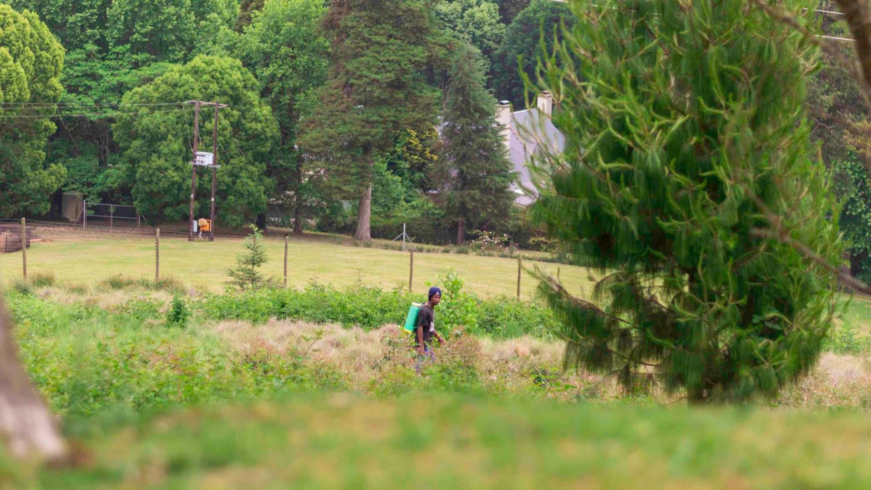 Arum Hill Lodge
