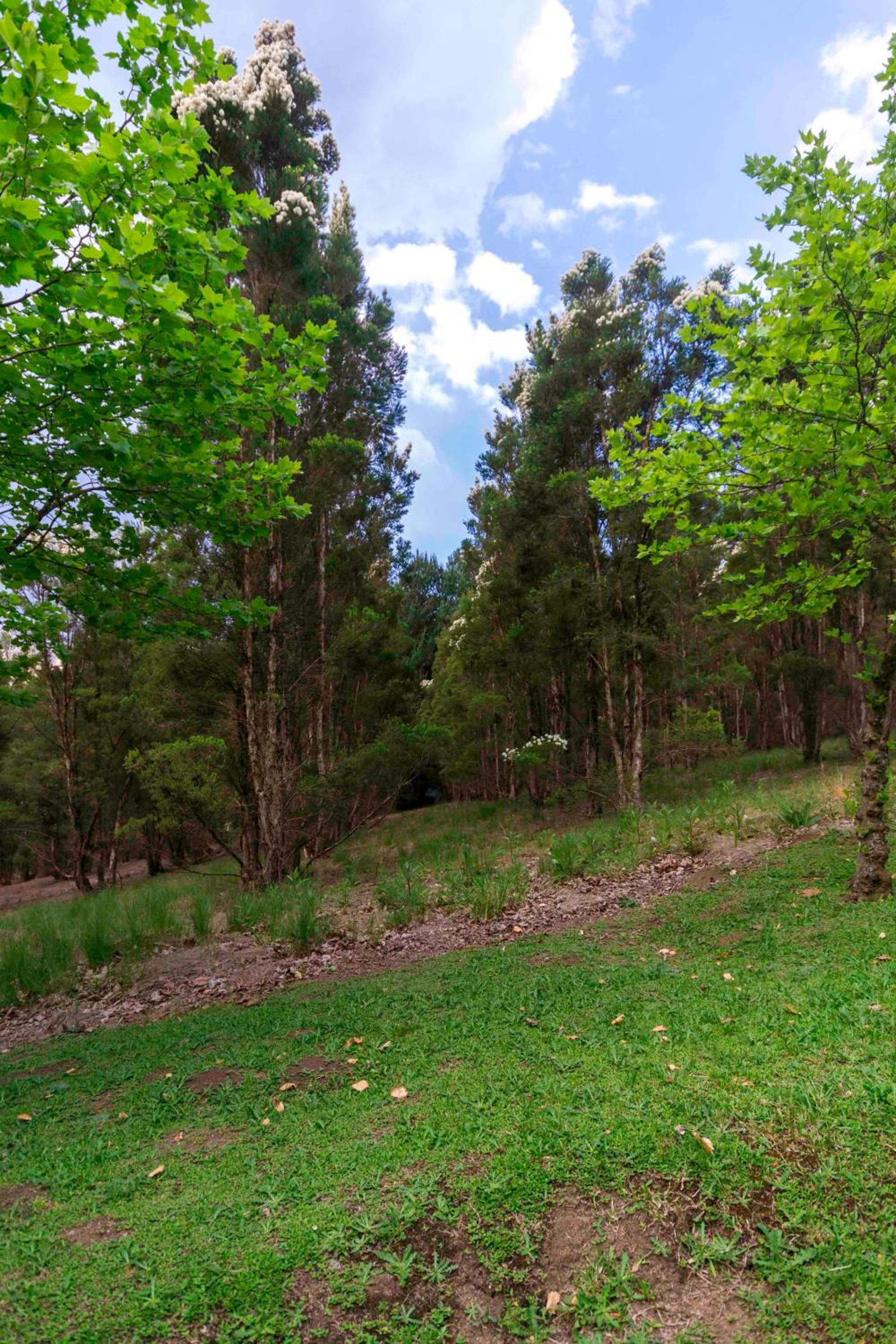 Arum Hill Lodge