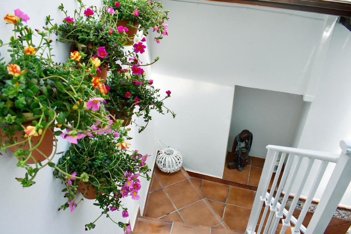 Casa Calma Ronda Estudio view 3