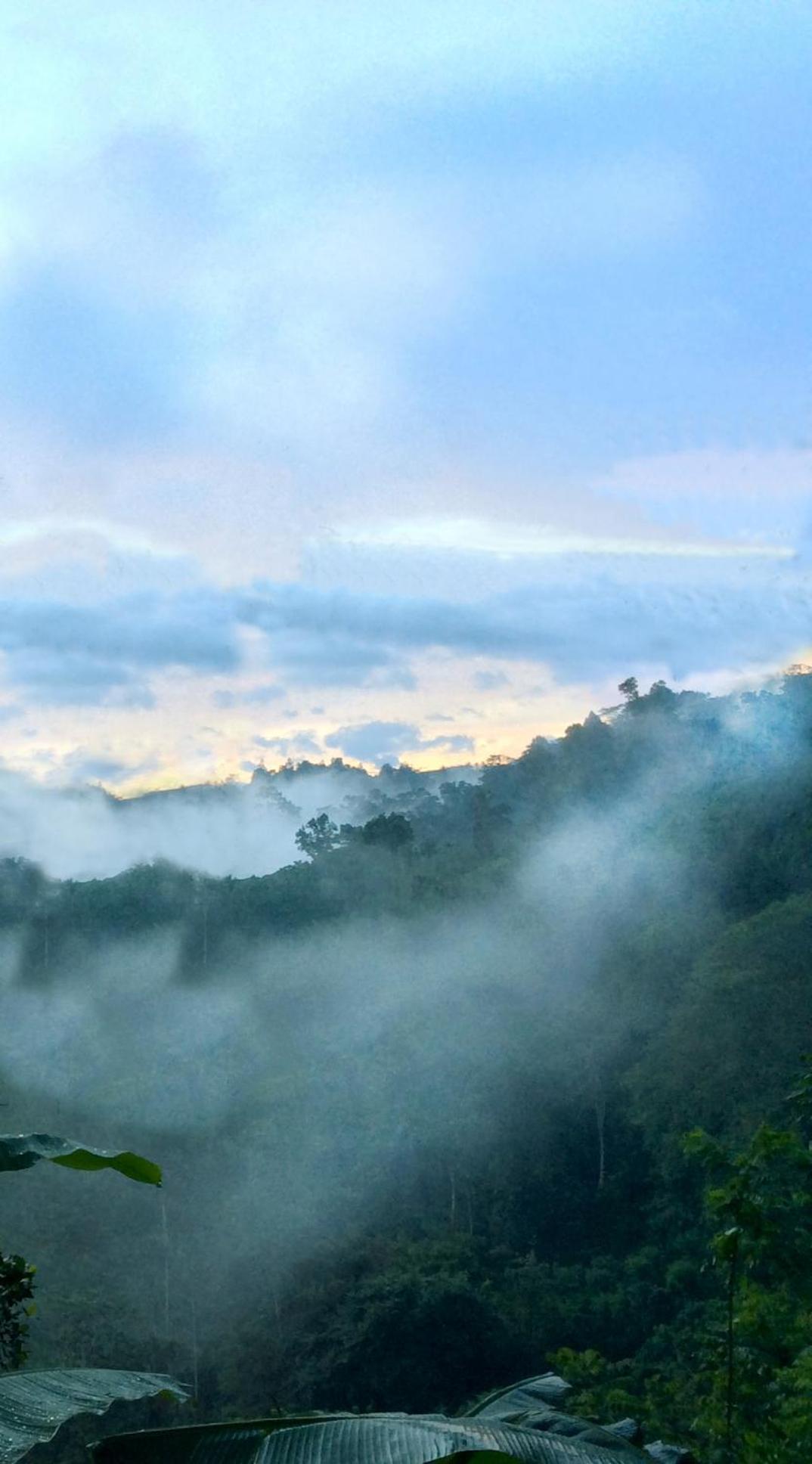 Natural Mystic Sanctuary