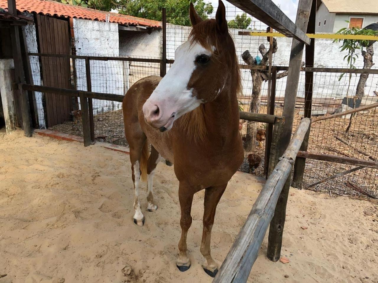 Chacara do Alemao