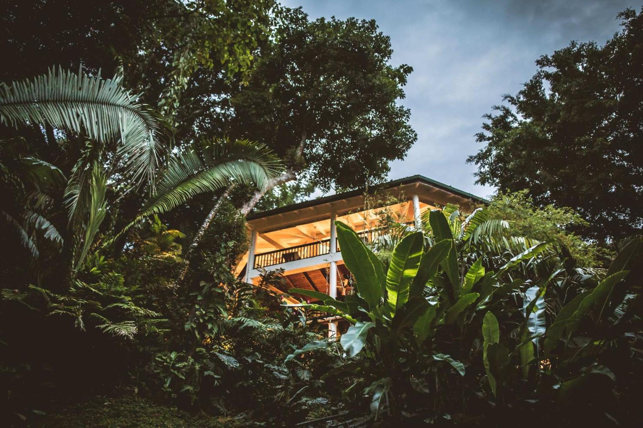Copal Tree Lodge a Muy'Ono Resort