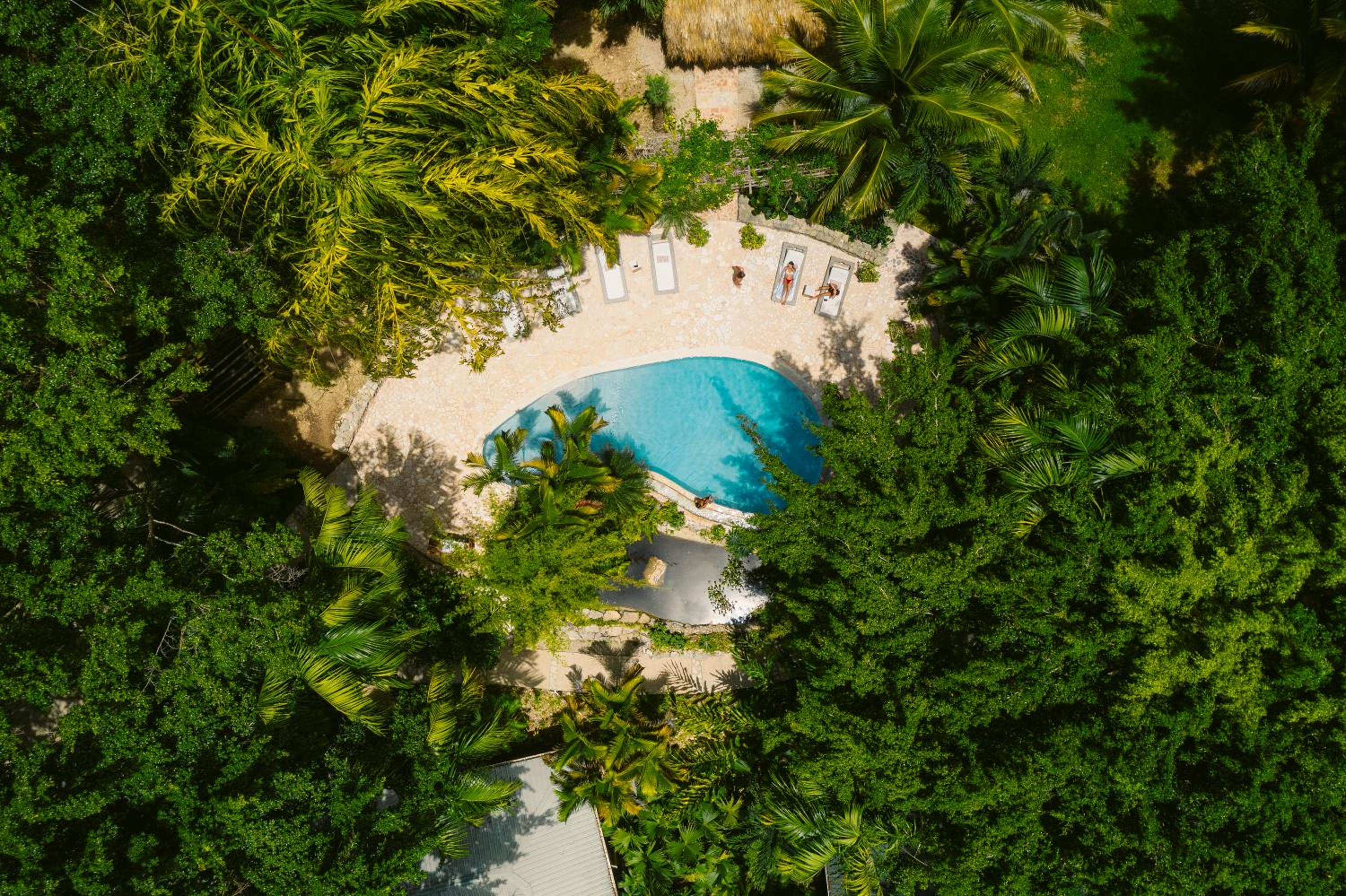 Copal Tree Lodge a Muy'Ono Resort
