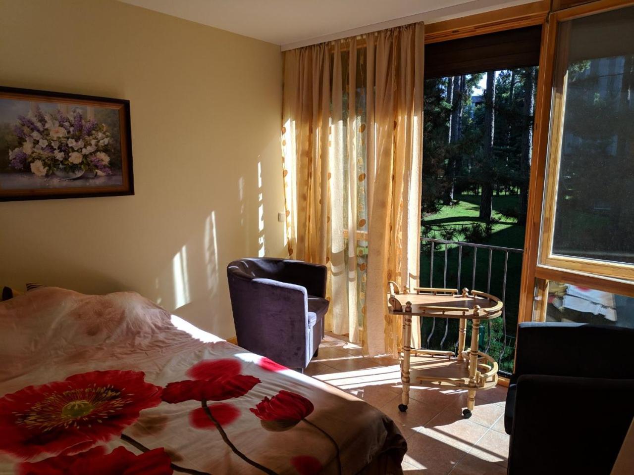 Geriausia vieta Palangoje view 2