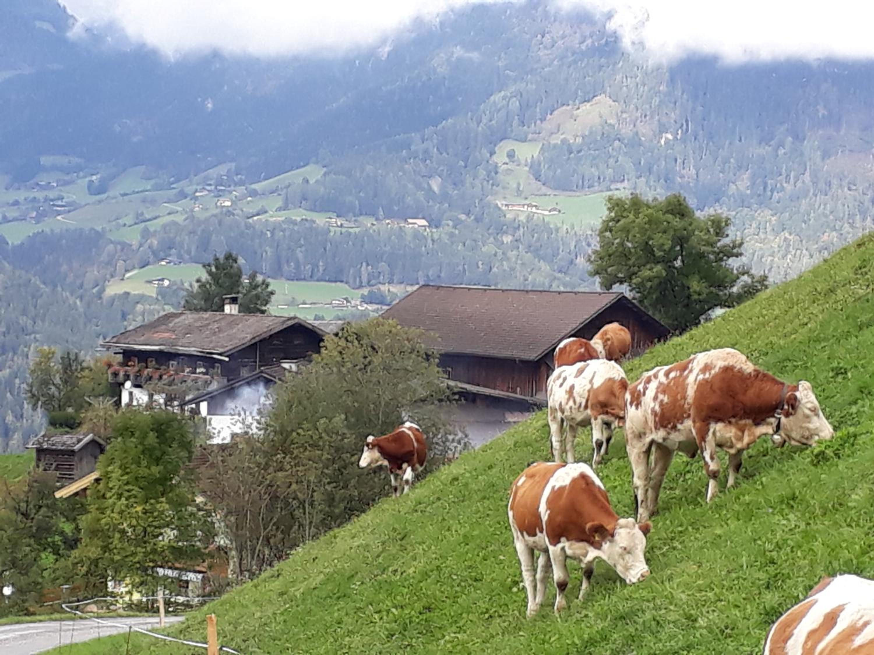Landhaus Katharina