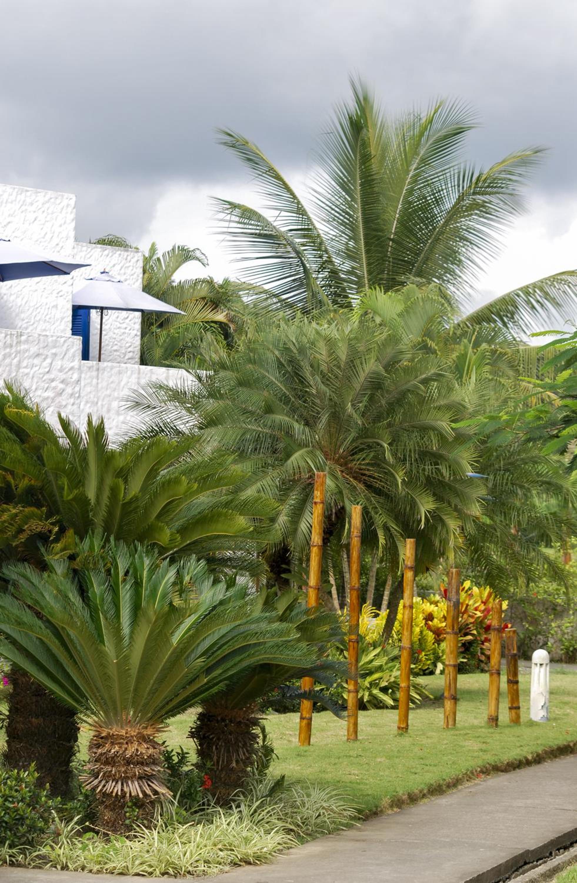 Hotel Green 9 & Beach Resort Casablanca