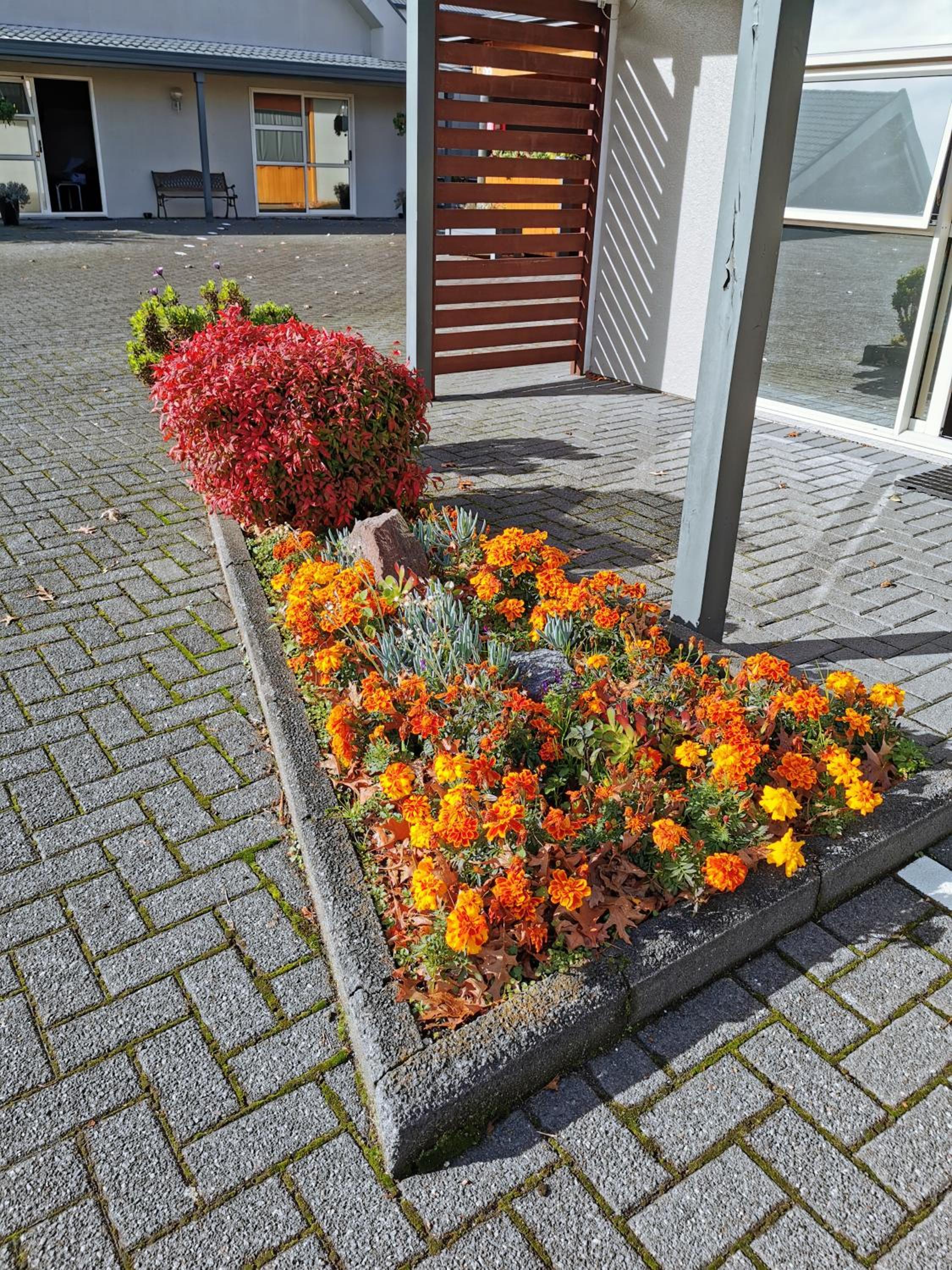 Photo 20