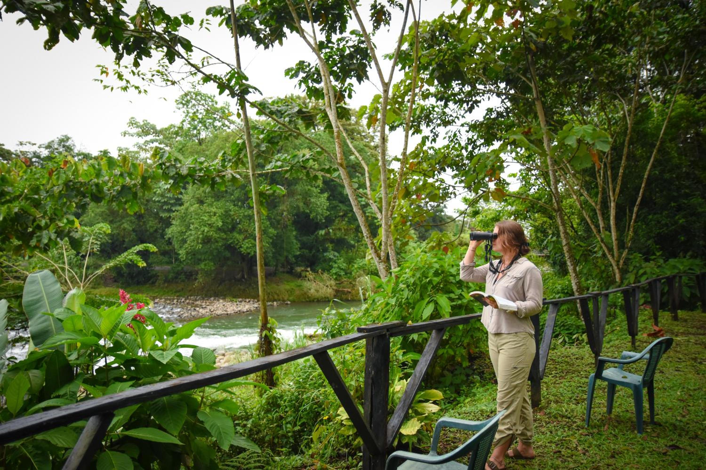 Hotel Chilamate Rainforest Eco Retreat - Image 1