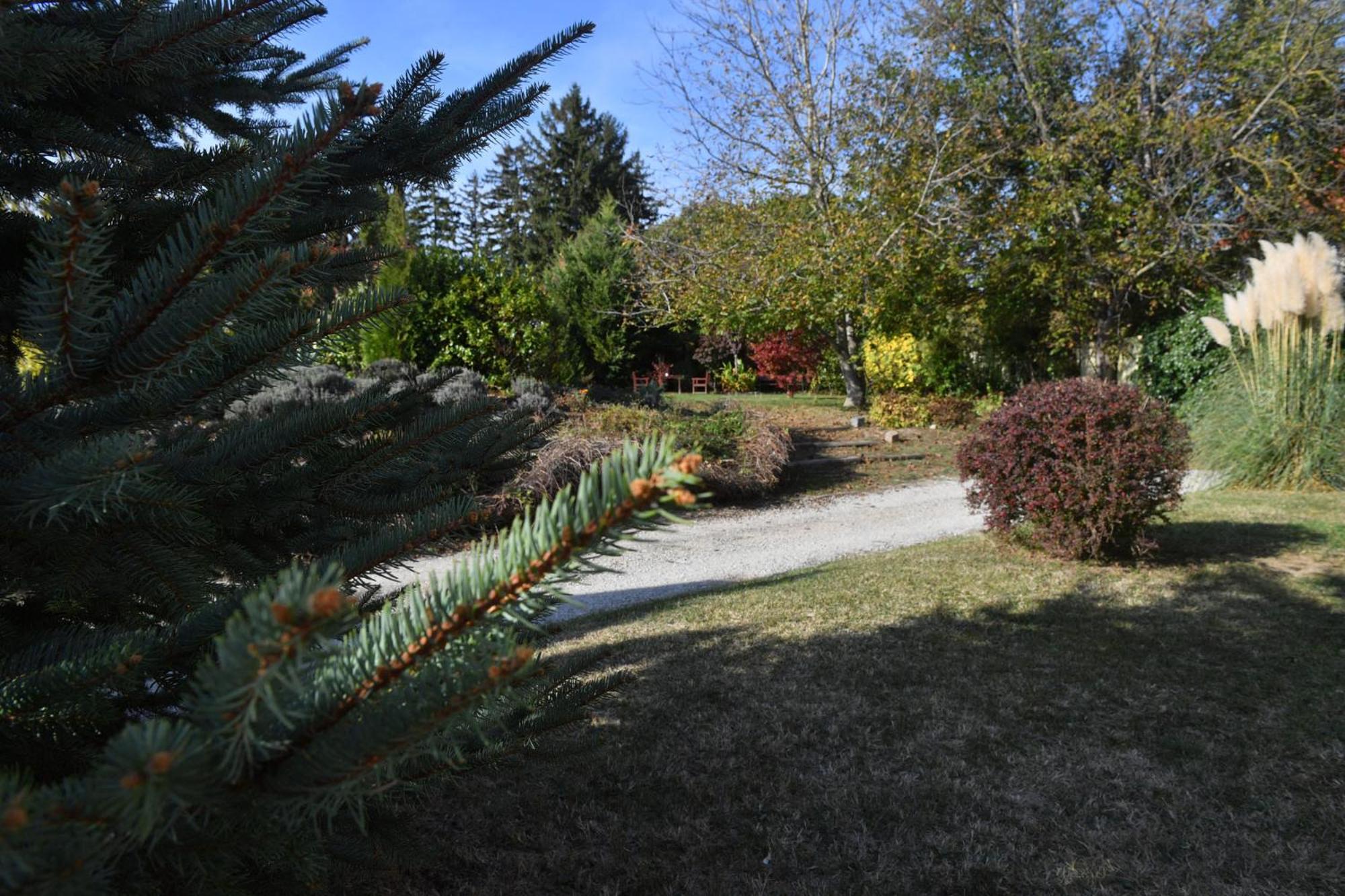 Photo 37