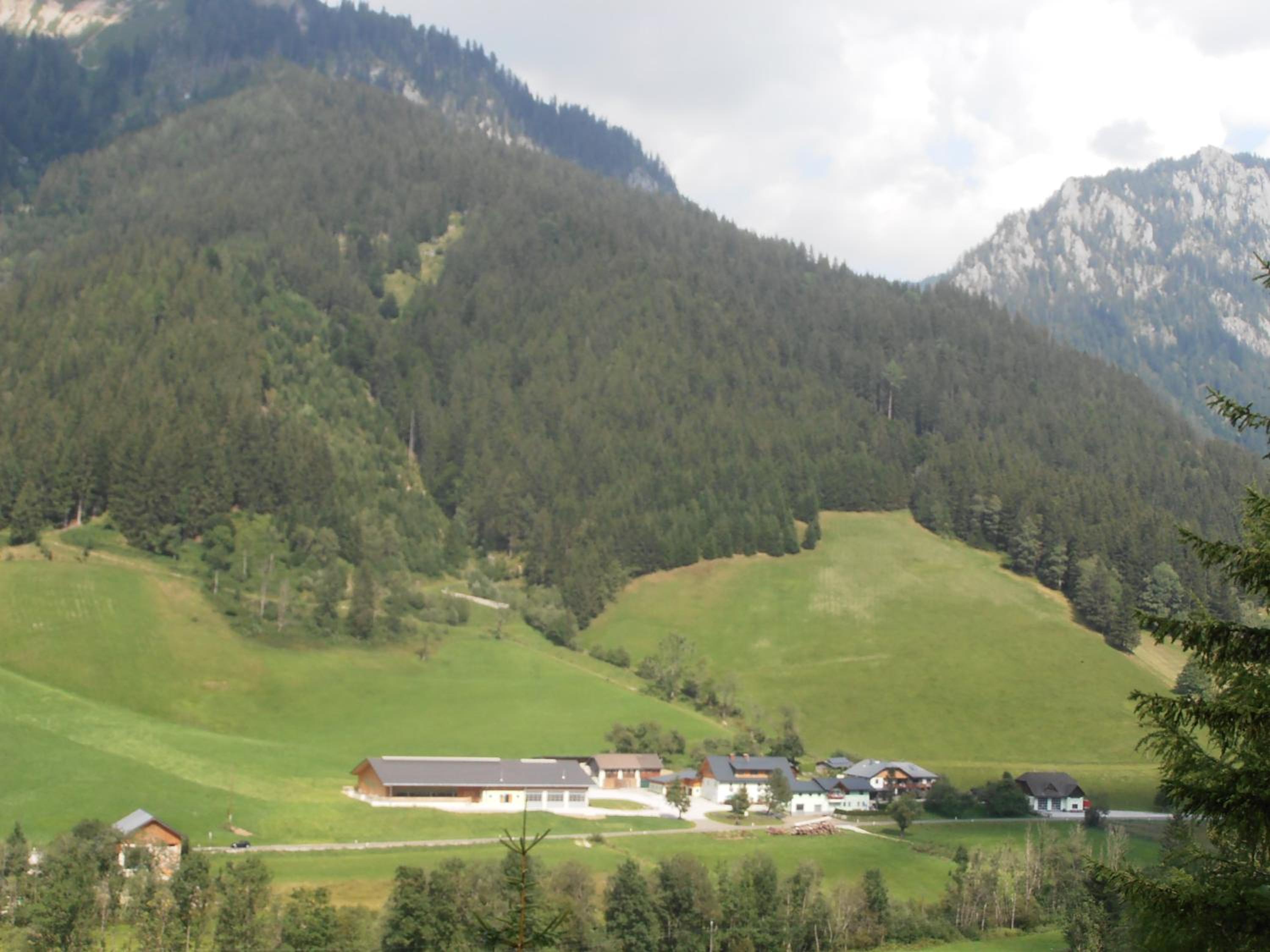 Huberbauer