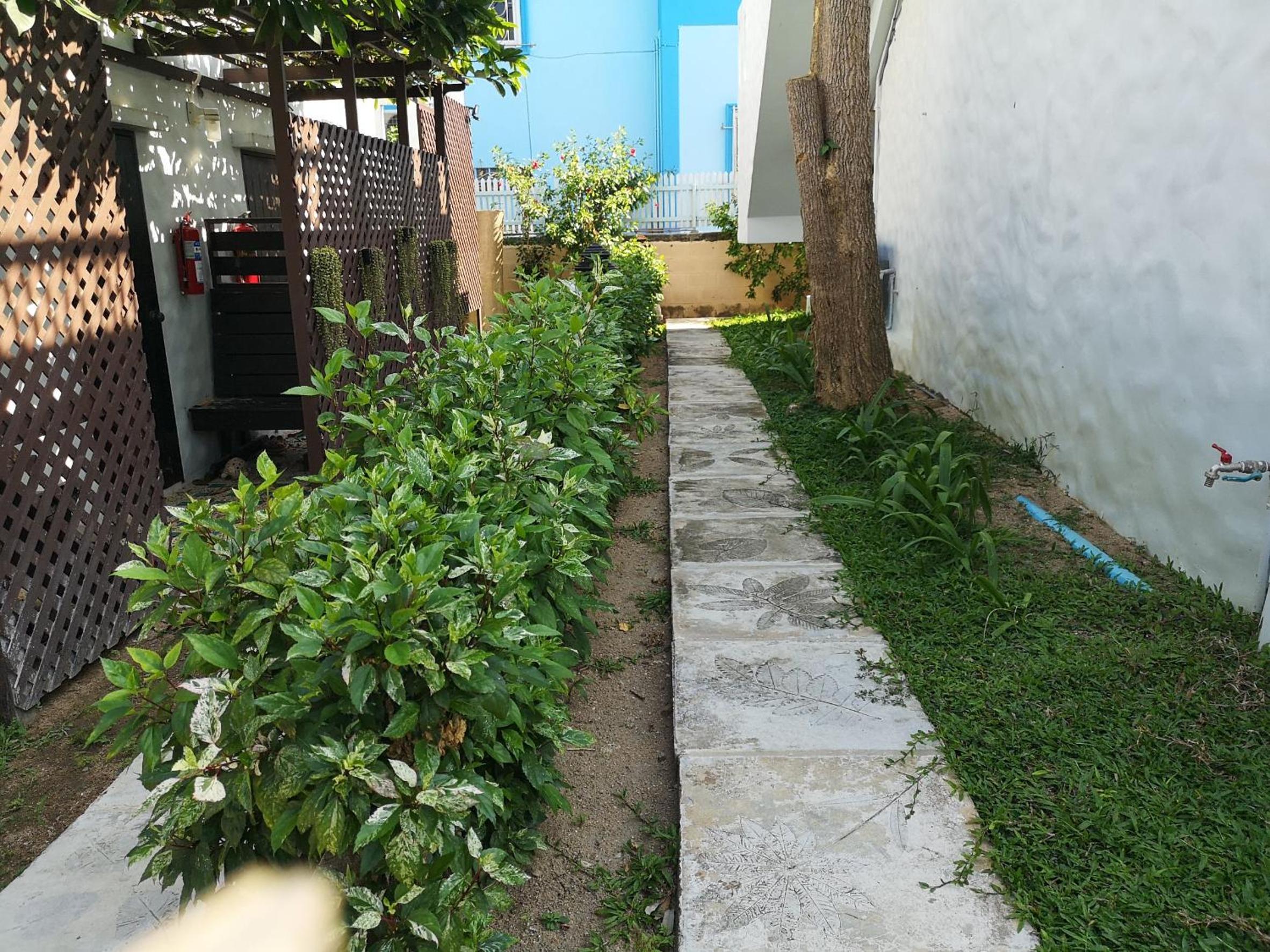 Photo 10