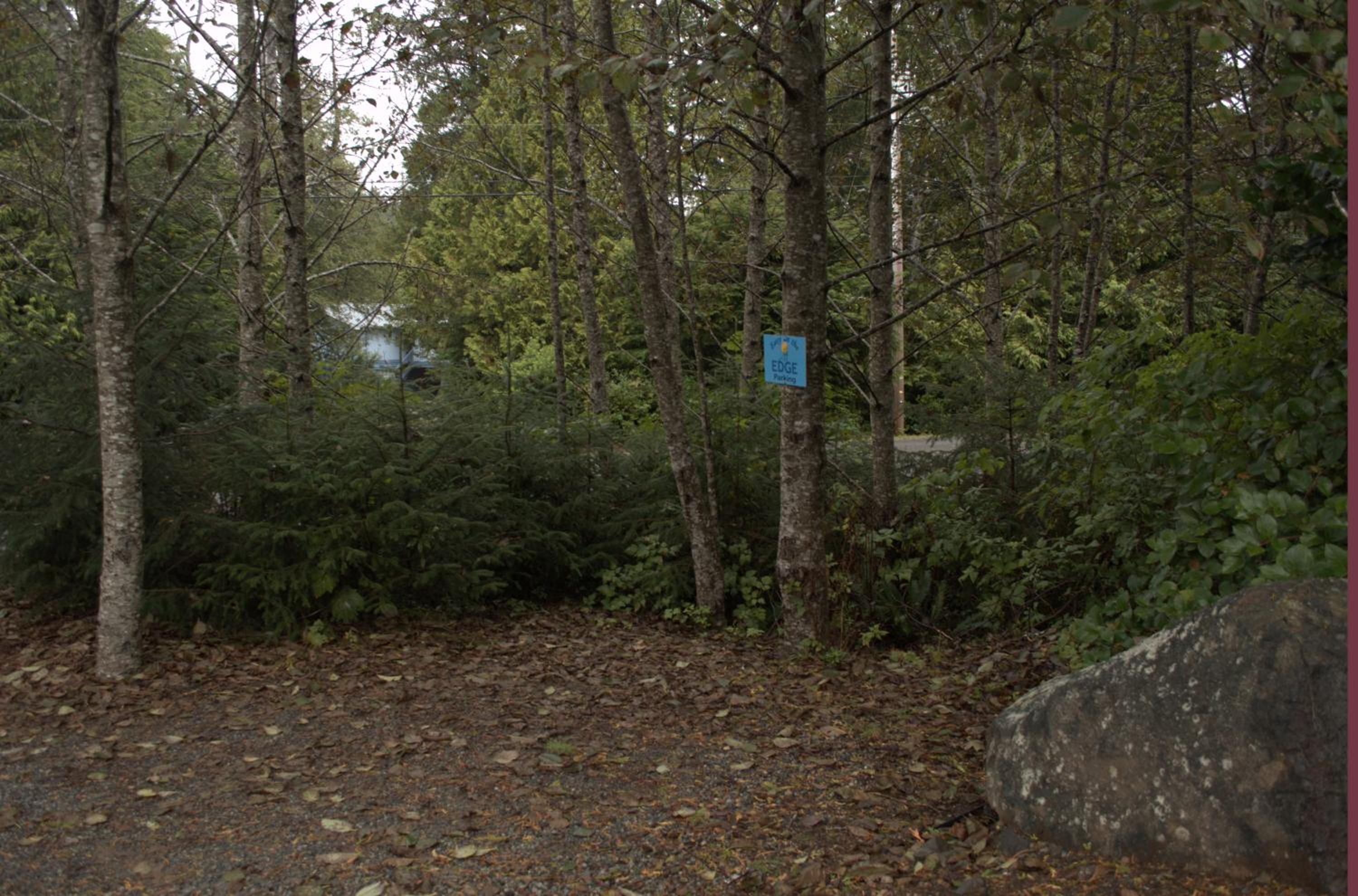 Easy on the Edge - Image 3