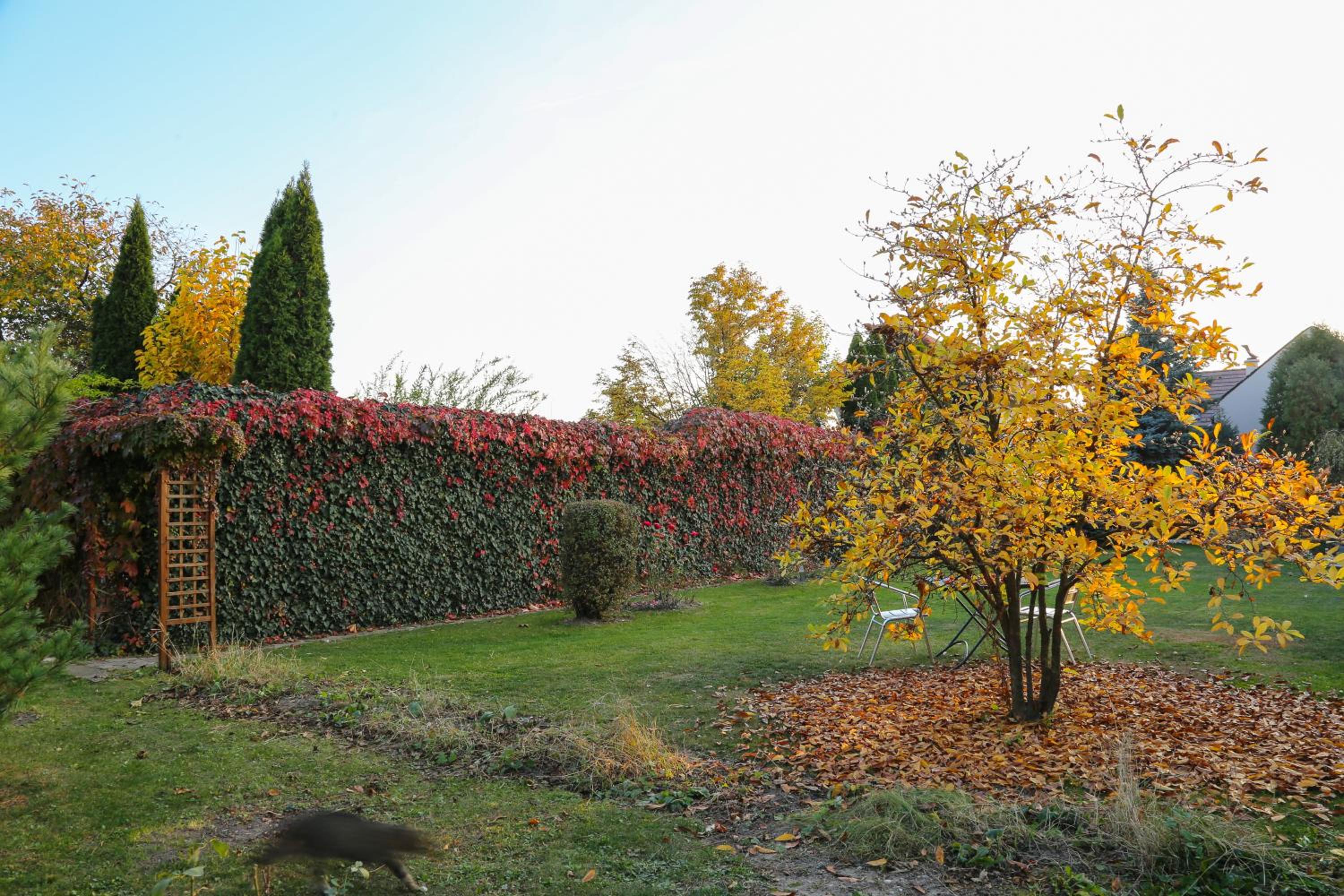 Villa Umberti view 2