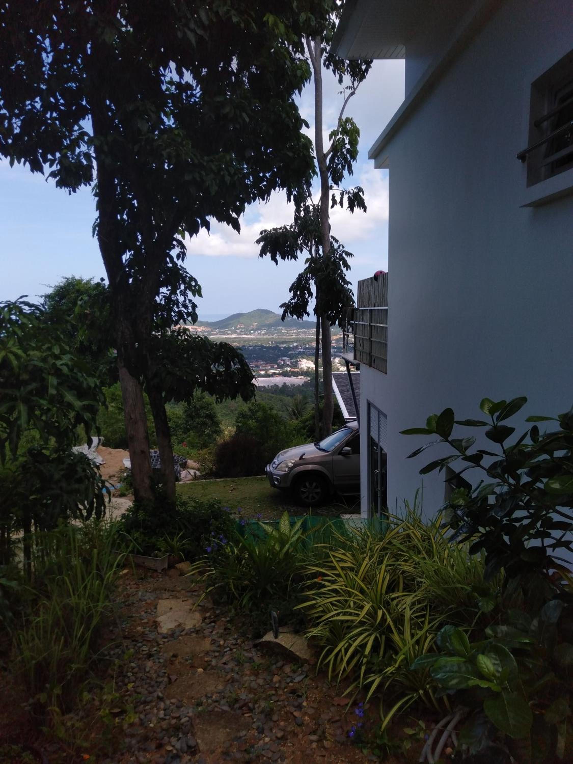 Photo 46