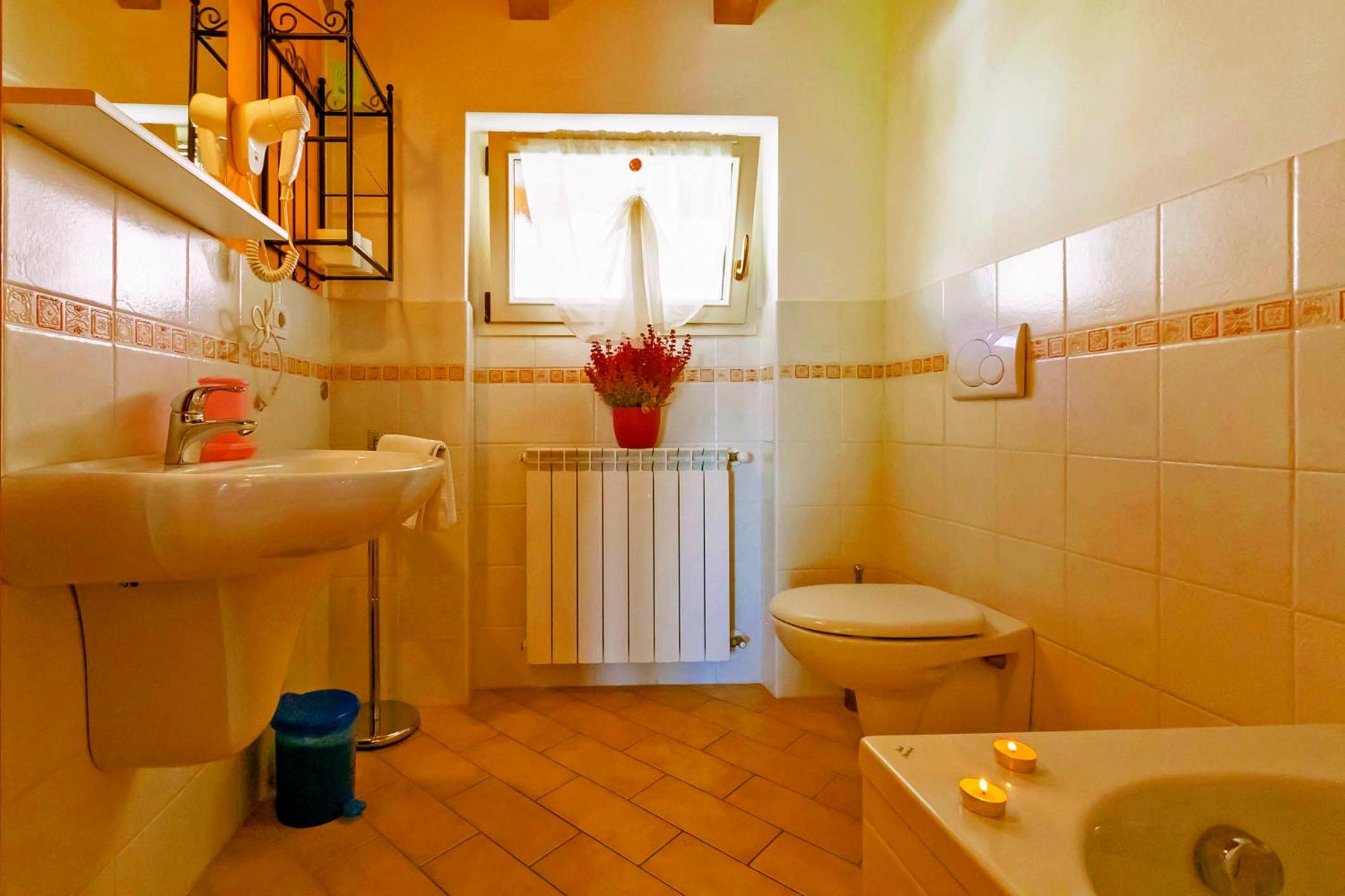 La Collina degli Ulivi