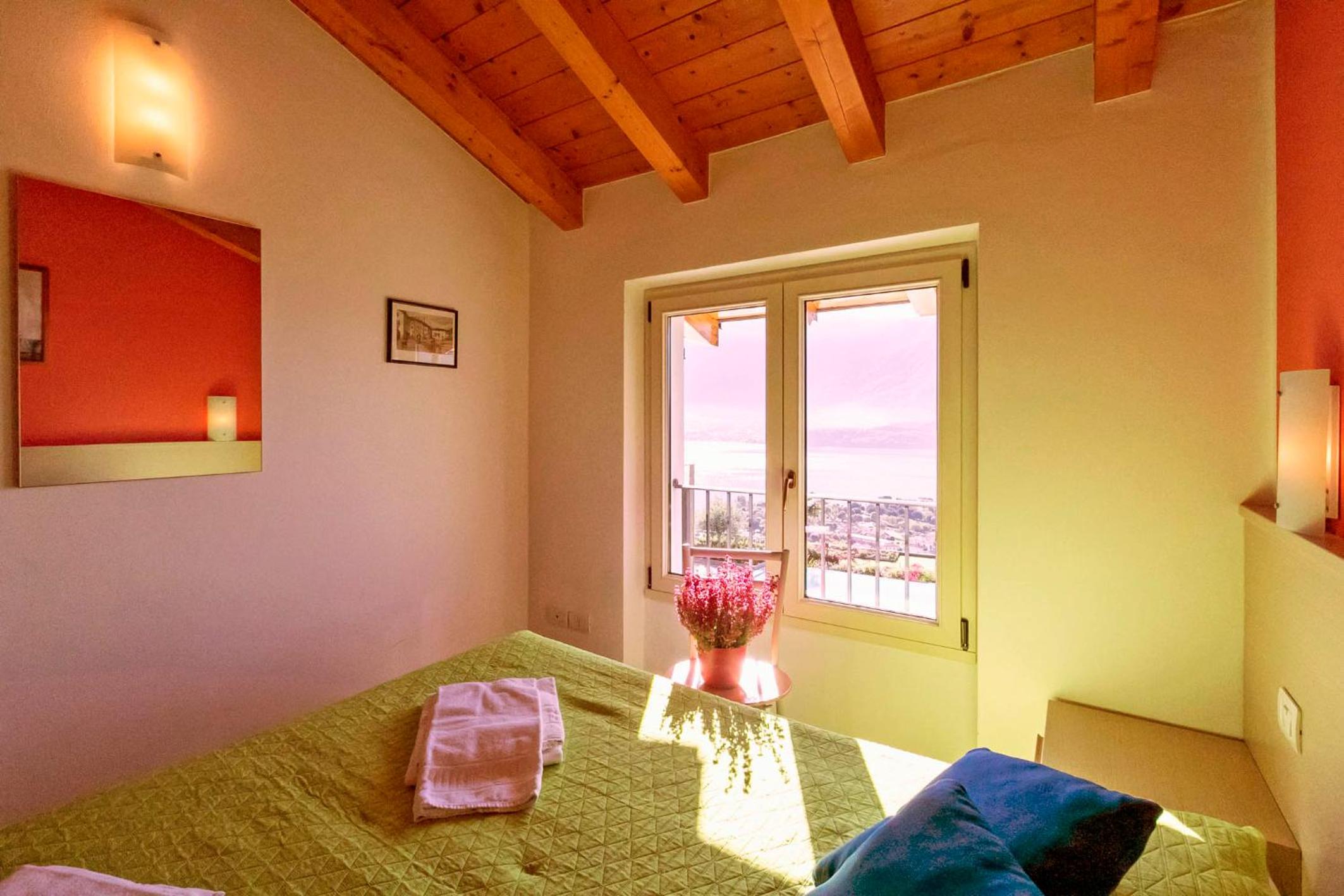 La Collina degli Ulivi