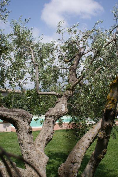 Agriturismo Le Spighe