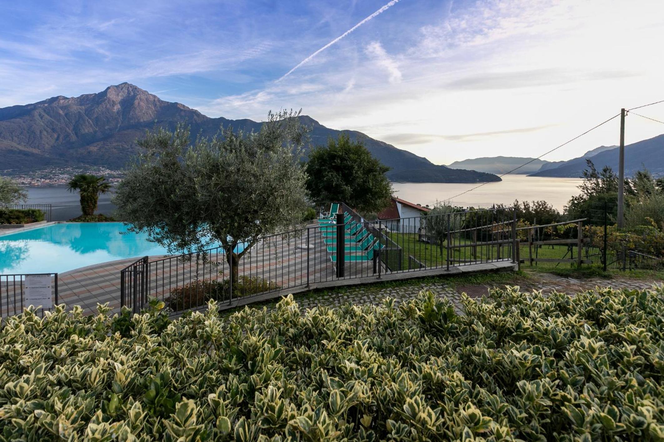 La Collina degli Ulivi