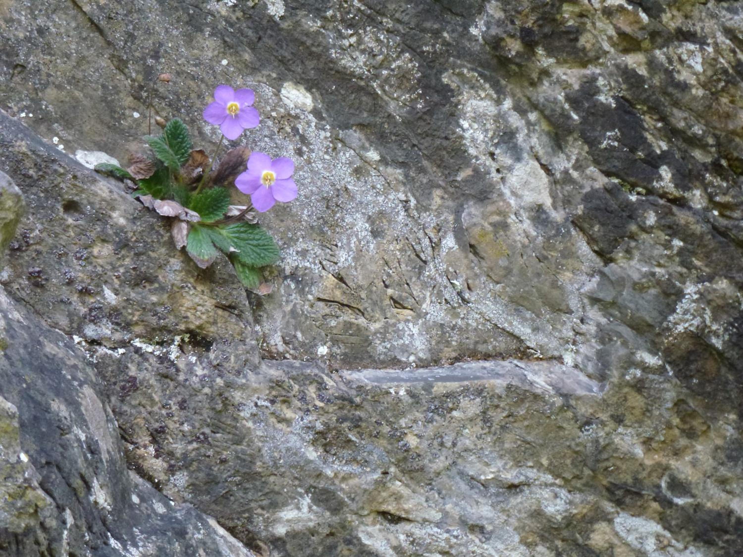 Photo 49