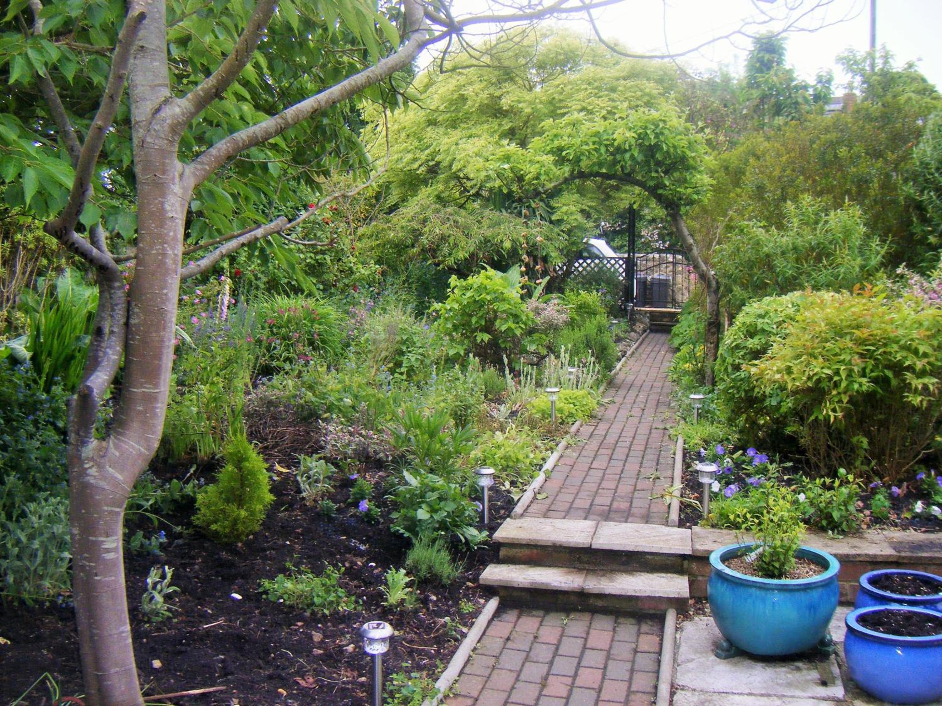 Photo 23