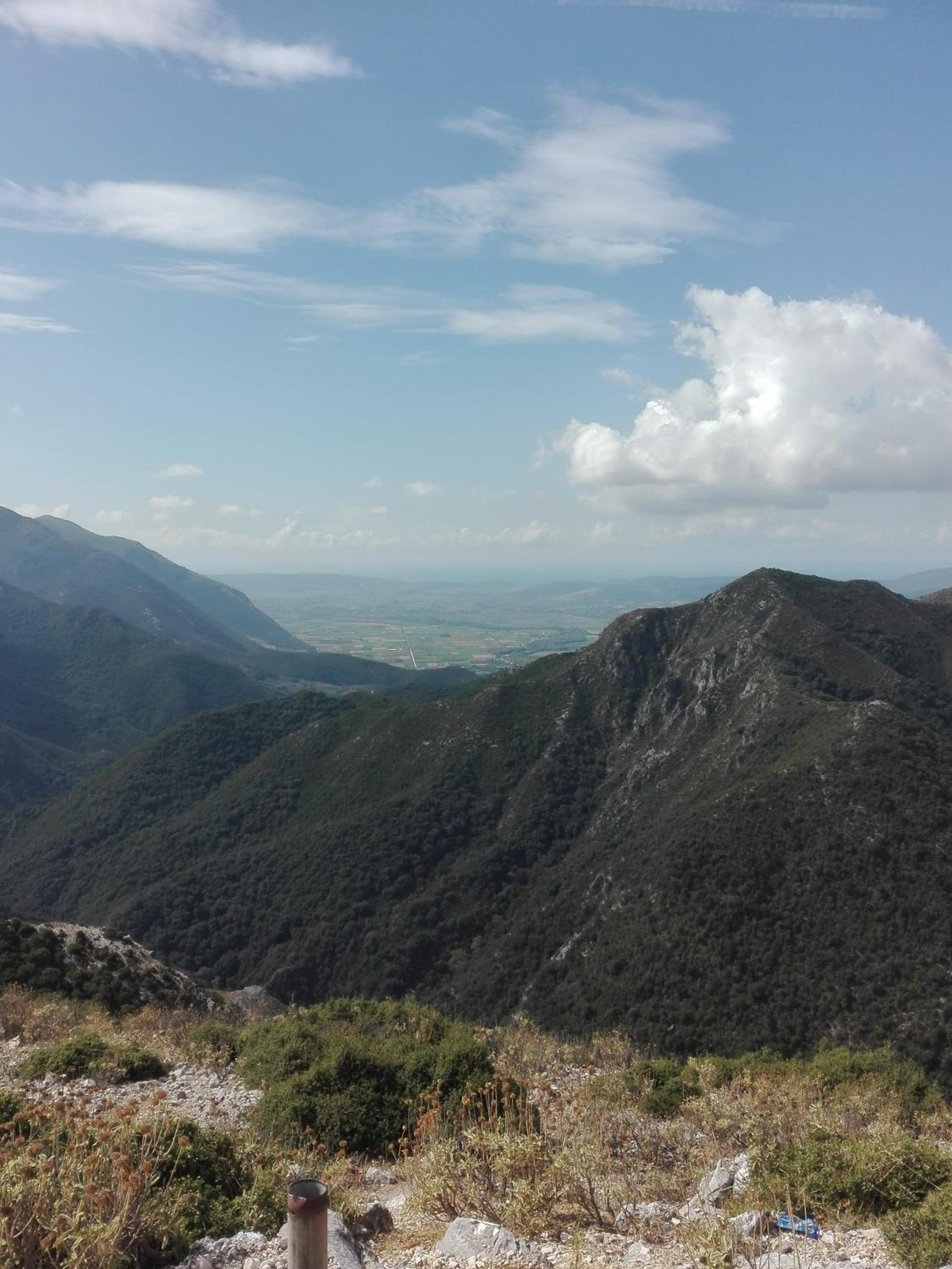 Photo 40