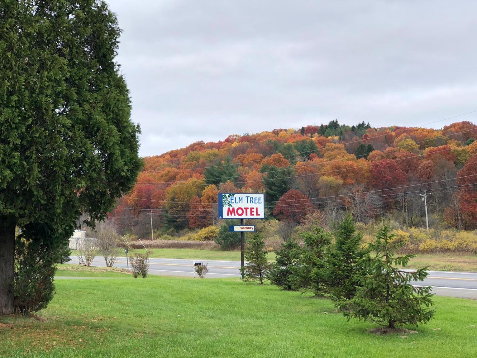 Elm Tree Motel