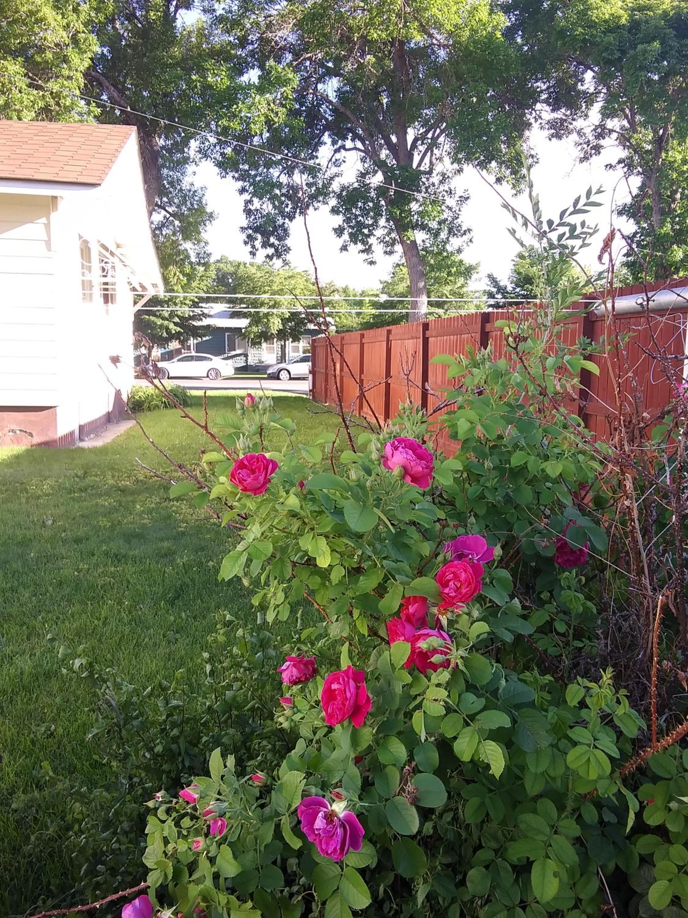 Photo 24