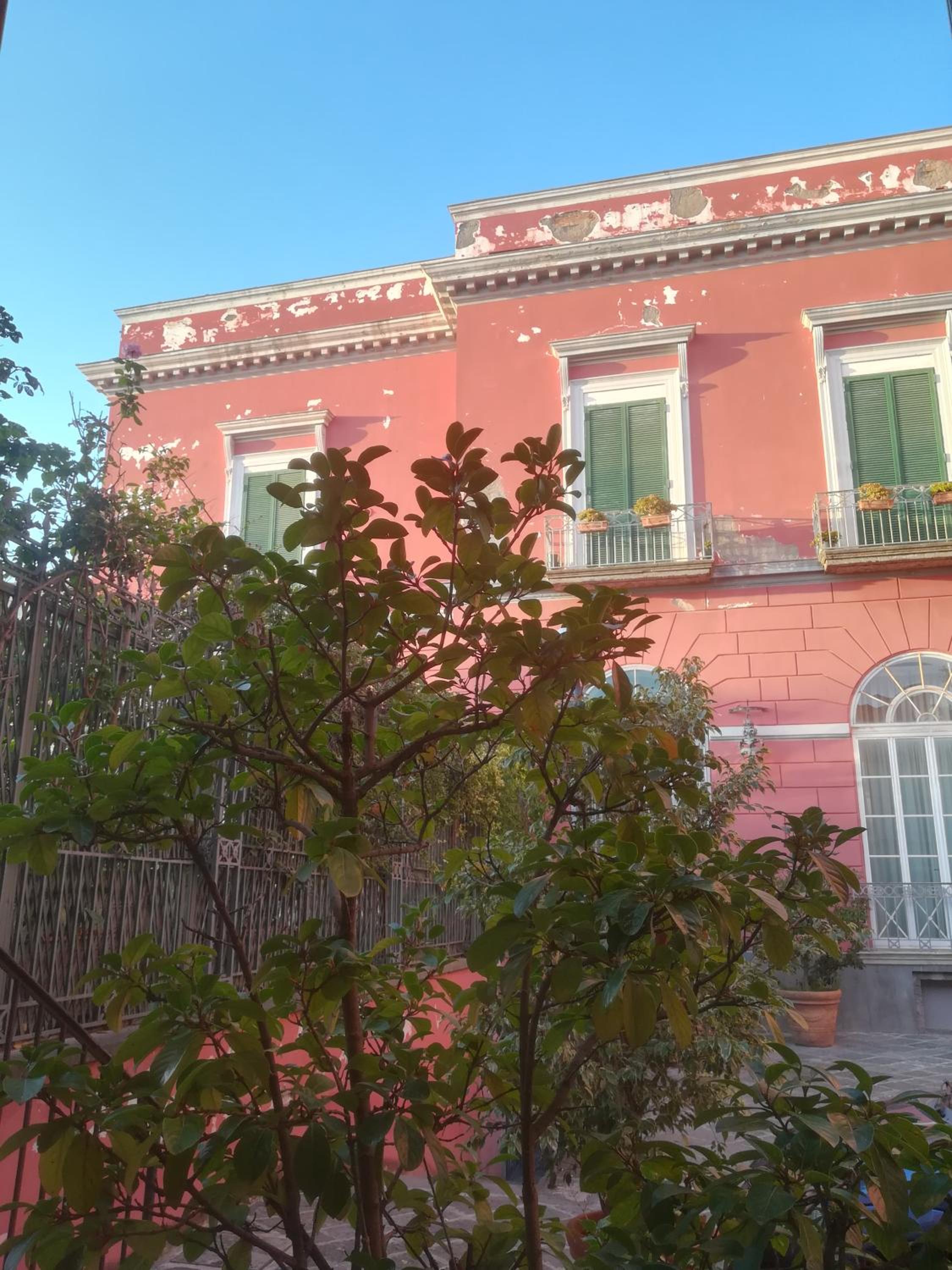 B-Montedidio