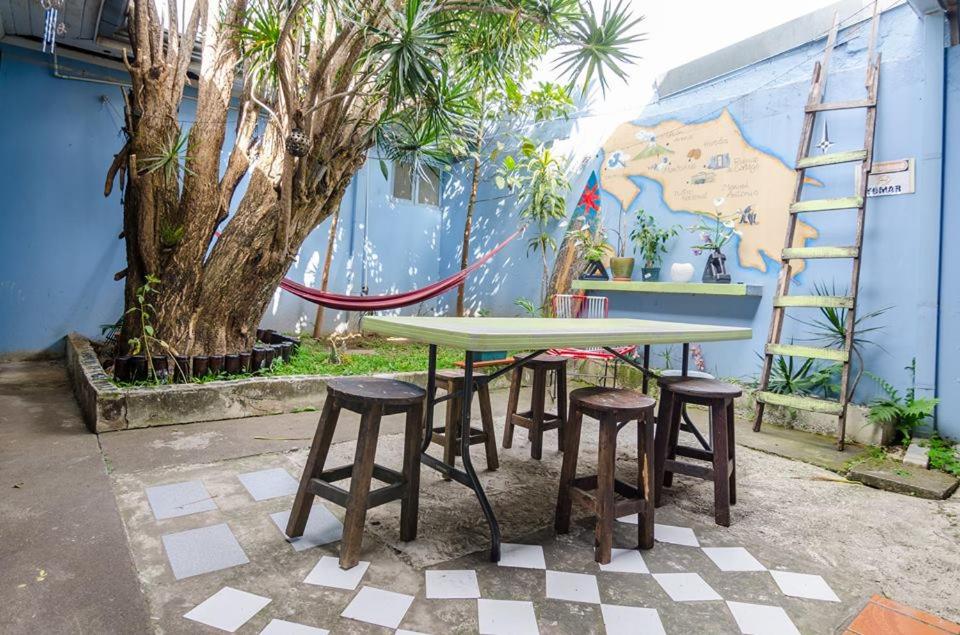 In the Wind Hostel and Guesthouse