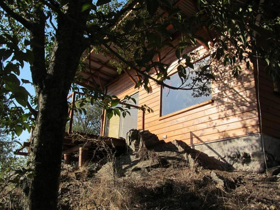 Alpa'y Kanki