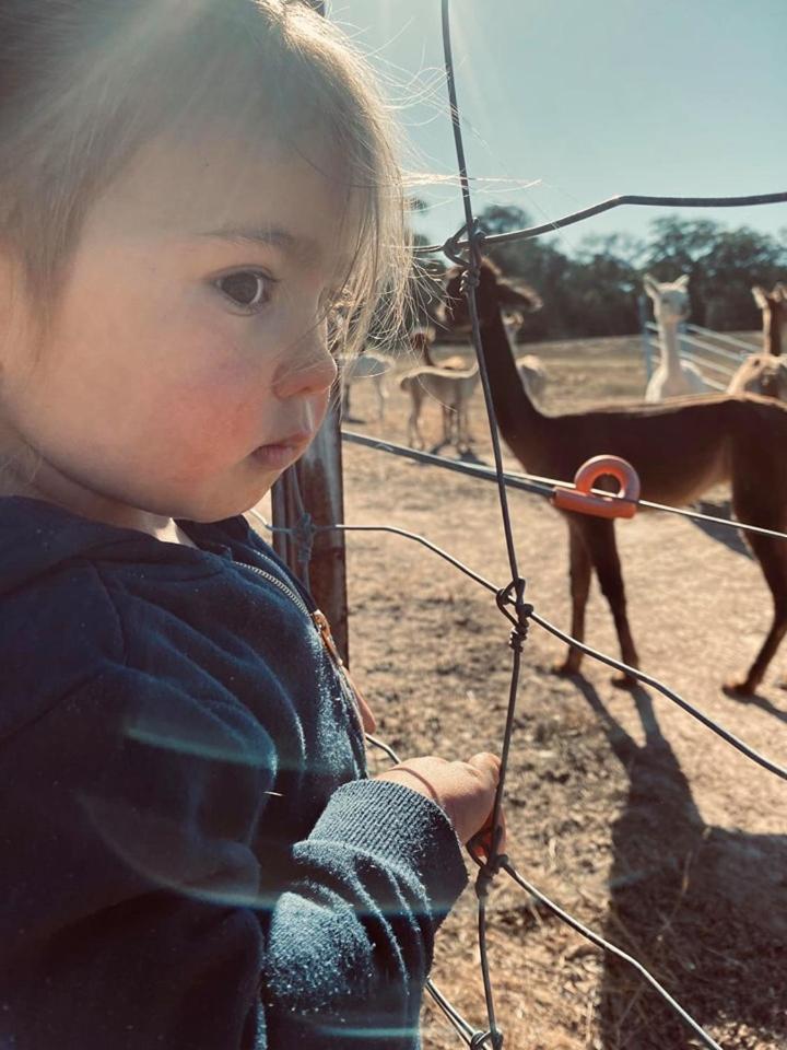 Glenview Alpaca Farm