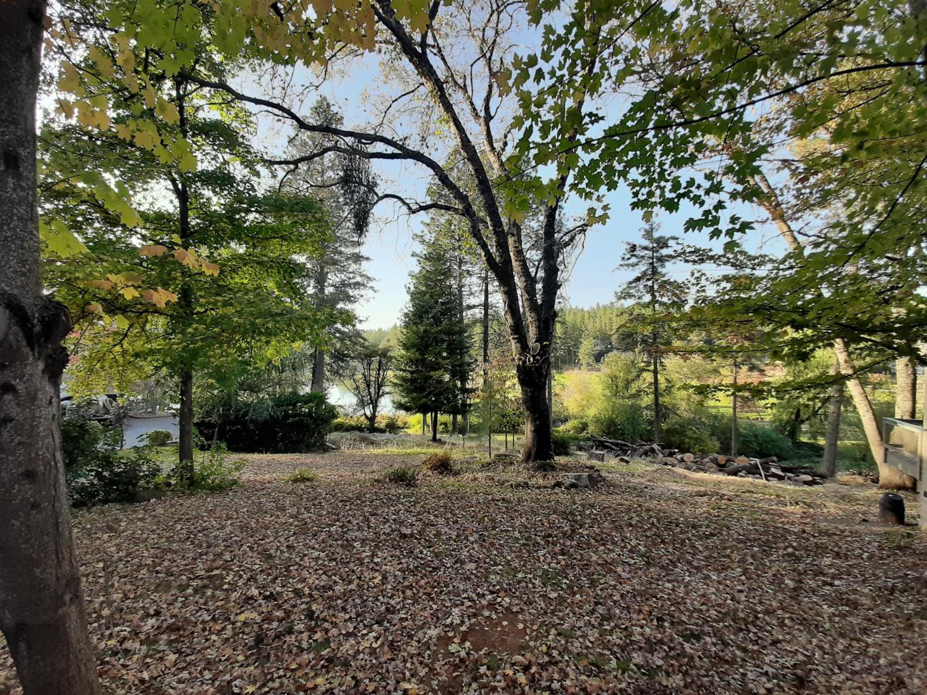 Grass Valley Vacations - Alta Sierra Village Inn - Property Image 4