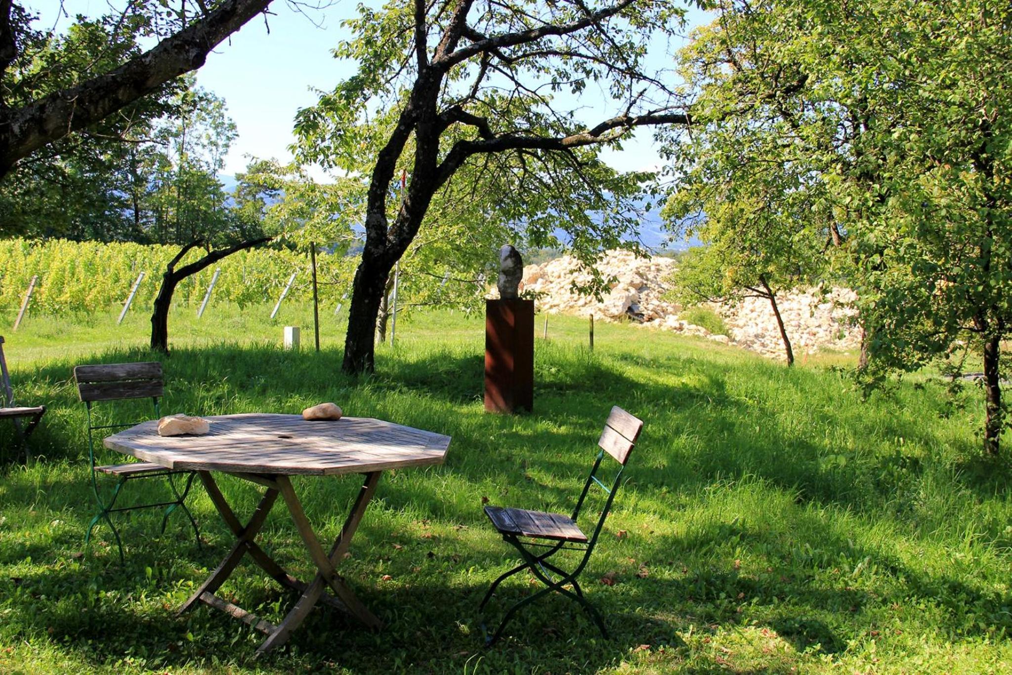 Ferienwohnungen Sonnenberg view 4