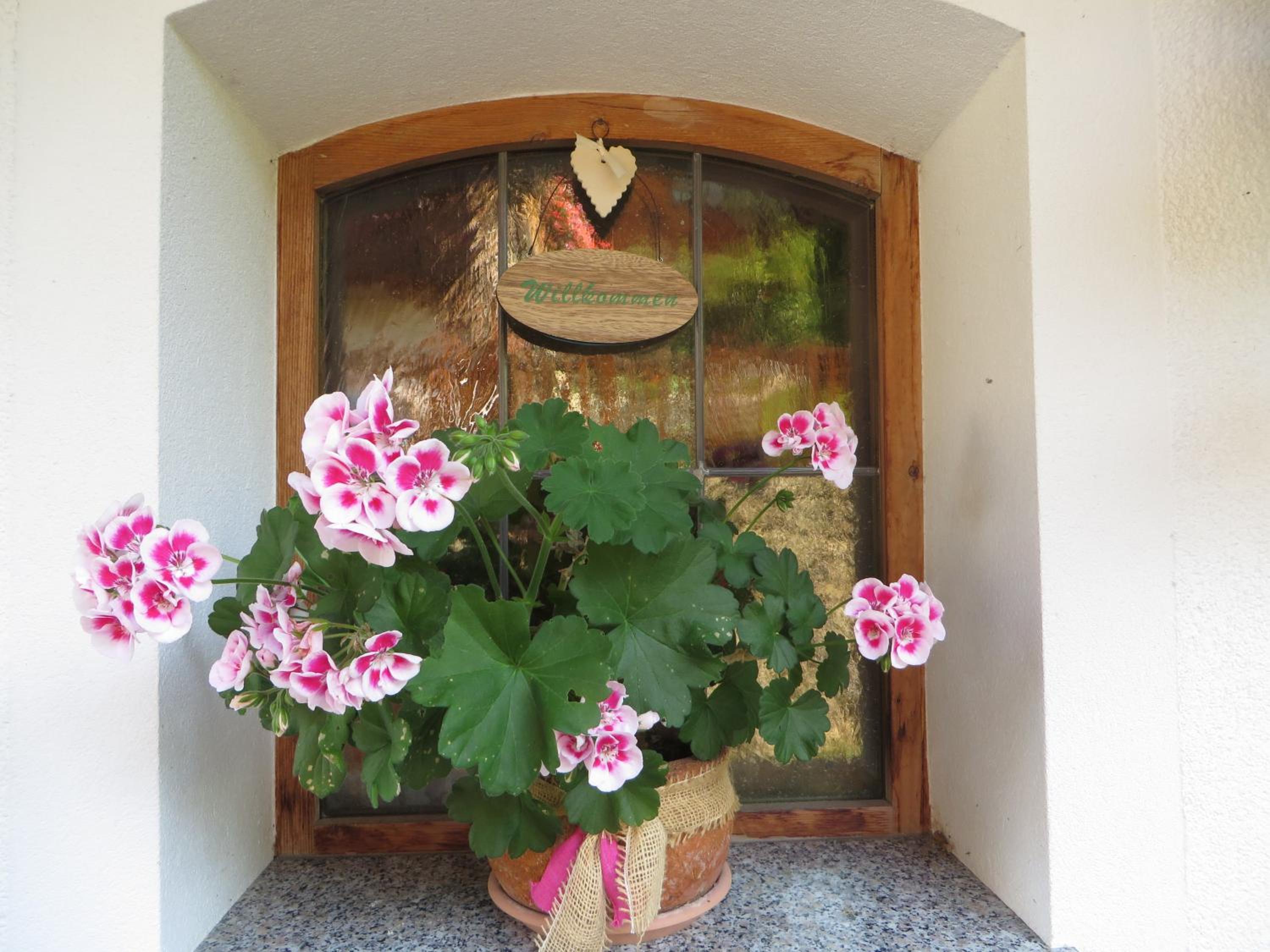 Haus Moosbrunn