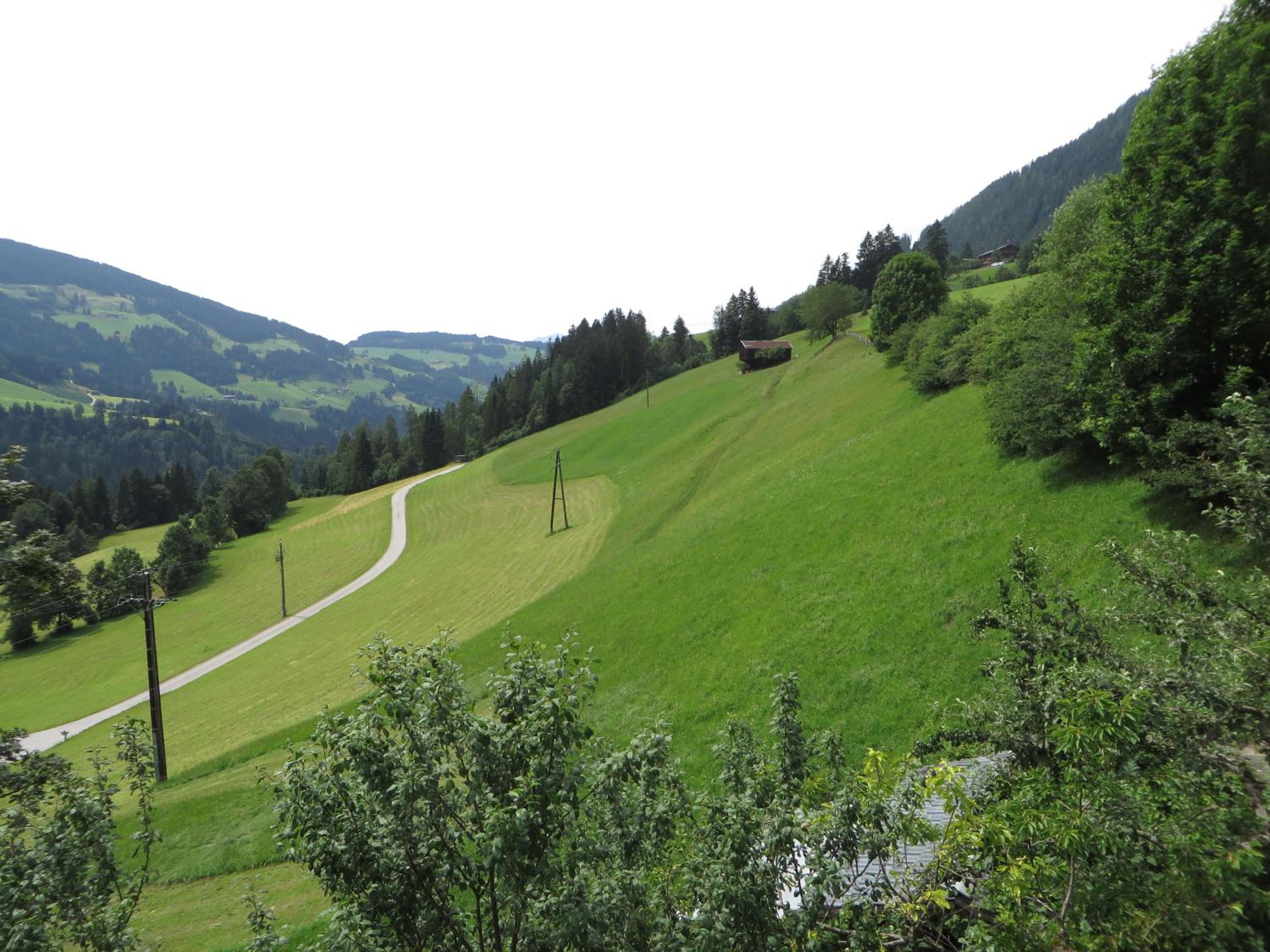 Haus Moosbrunn