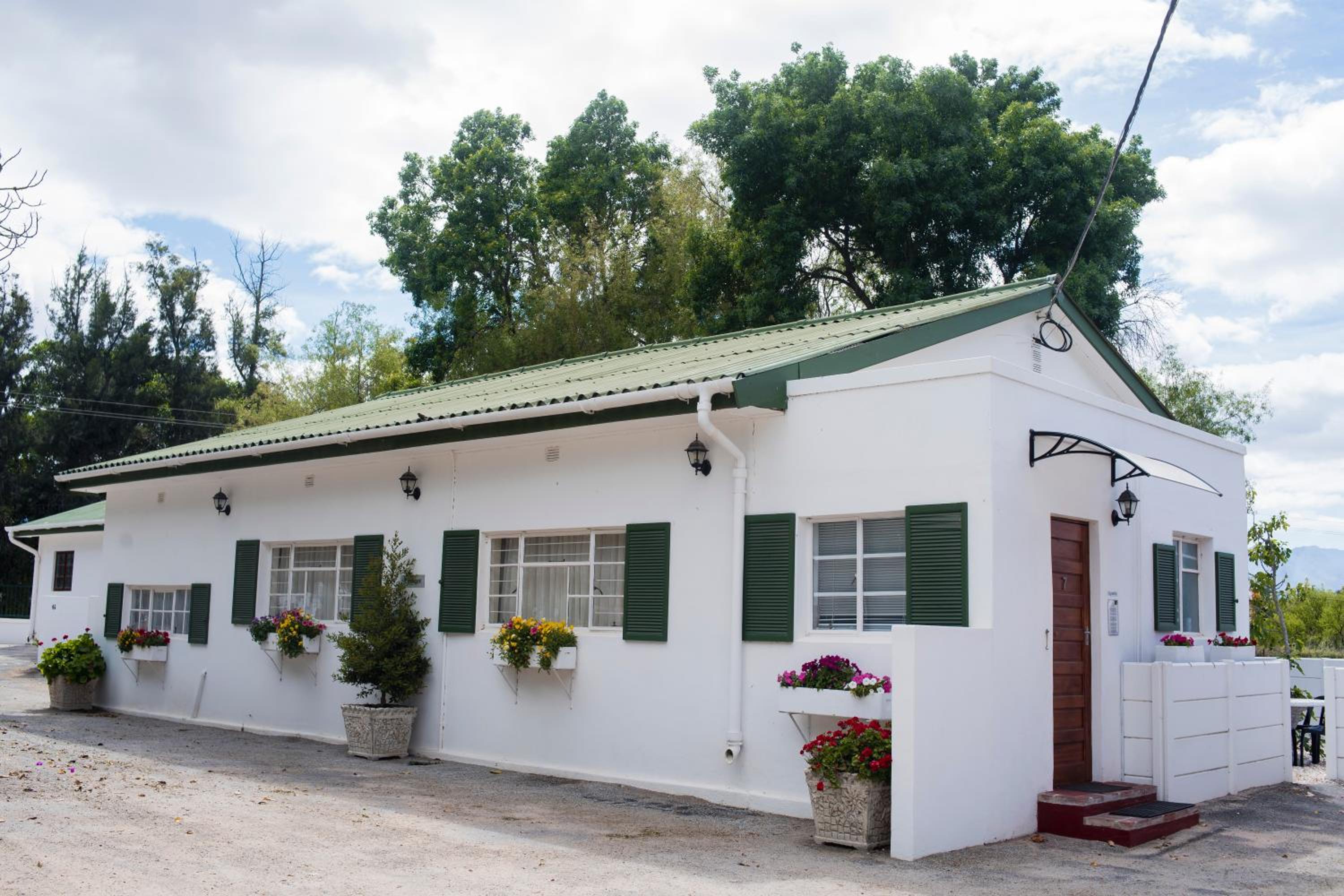 Green Olive Guesthouse