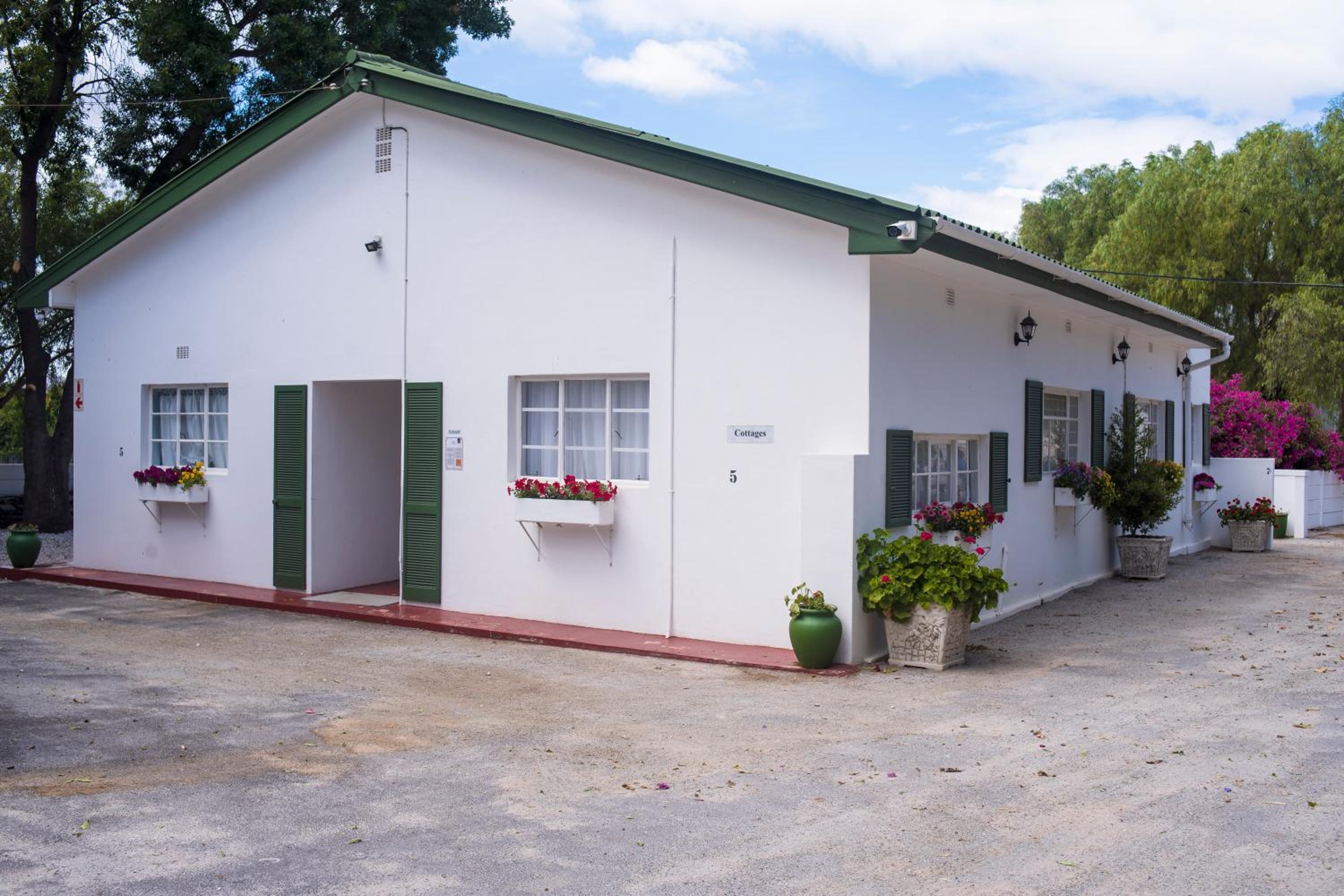 Green Olive Guesthouse