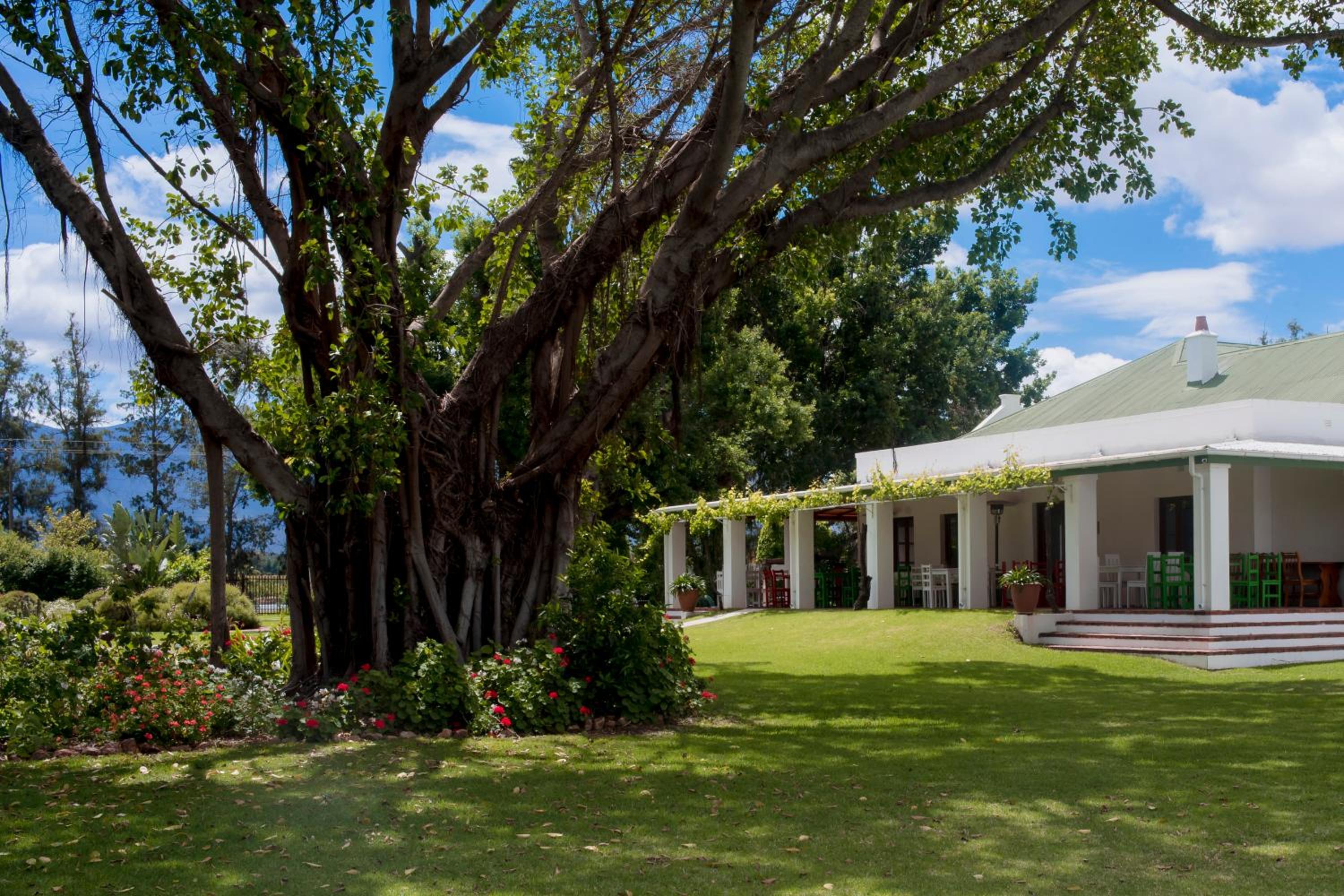 Green Olive Guesthouse