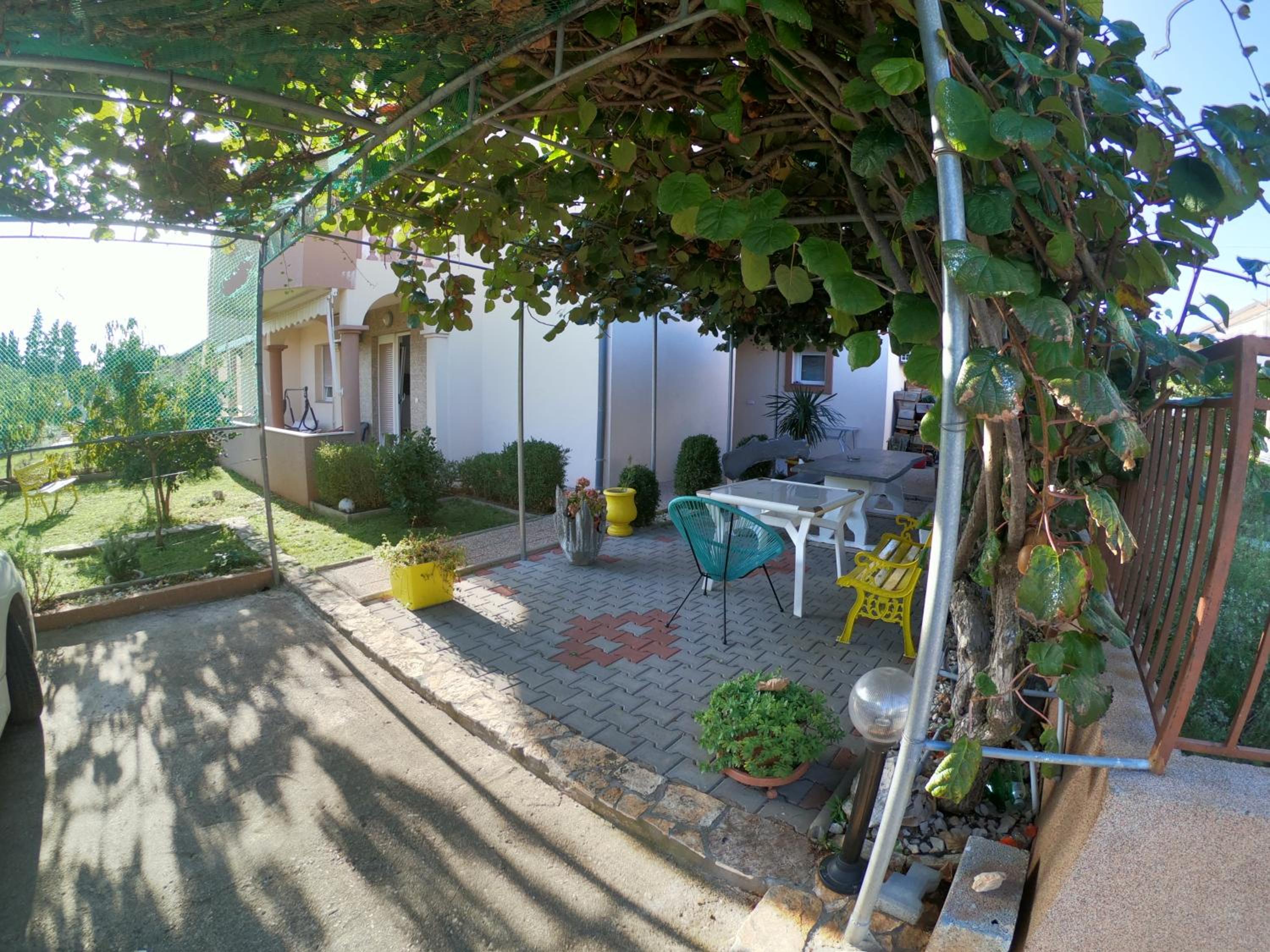 Photo 45