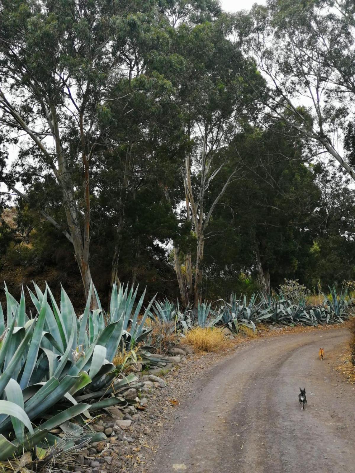 Photo 69
