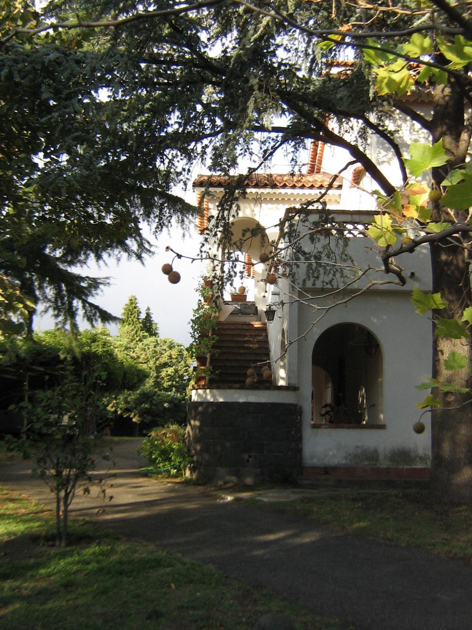 Photo 25
