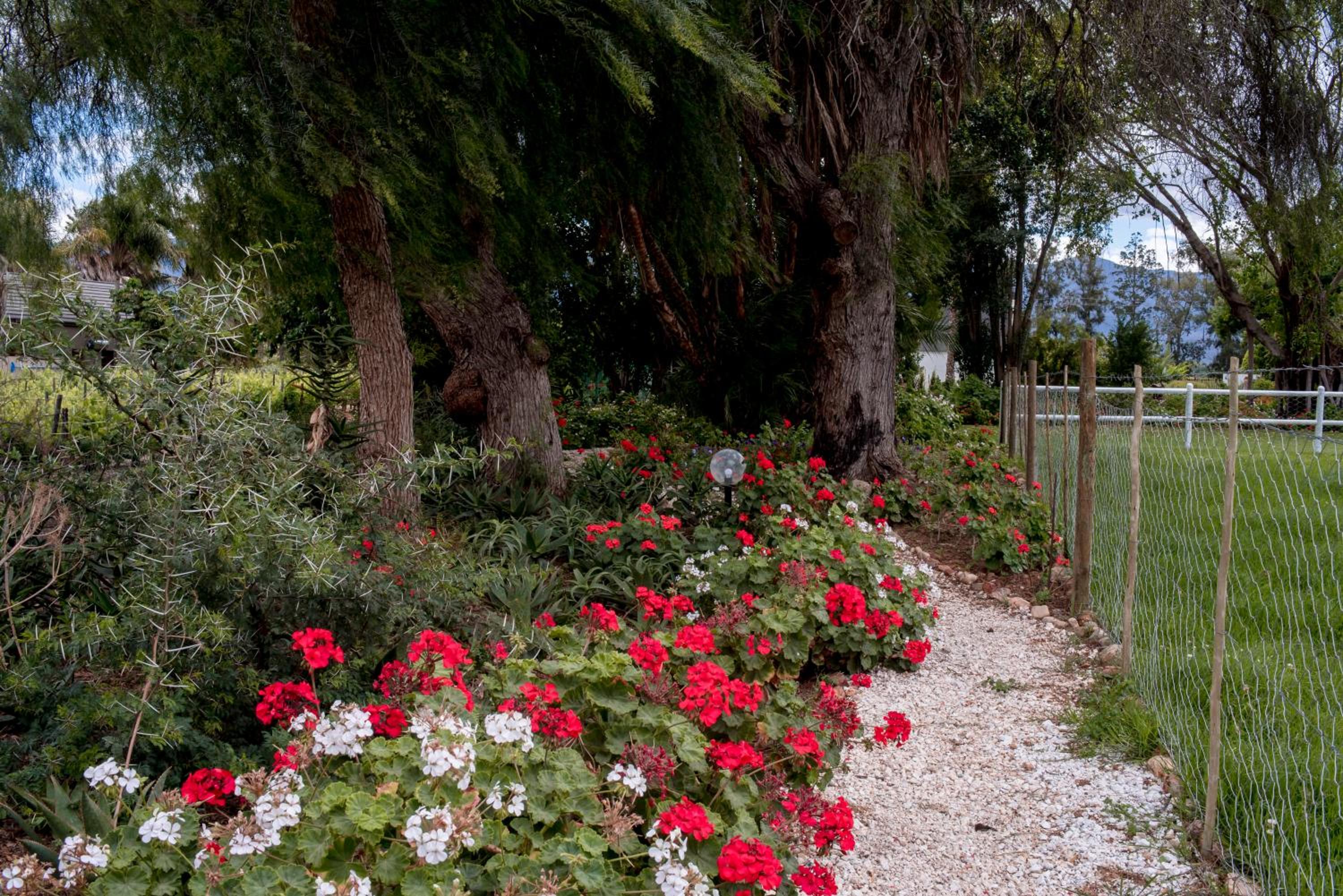 Green Olive Guesthouse