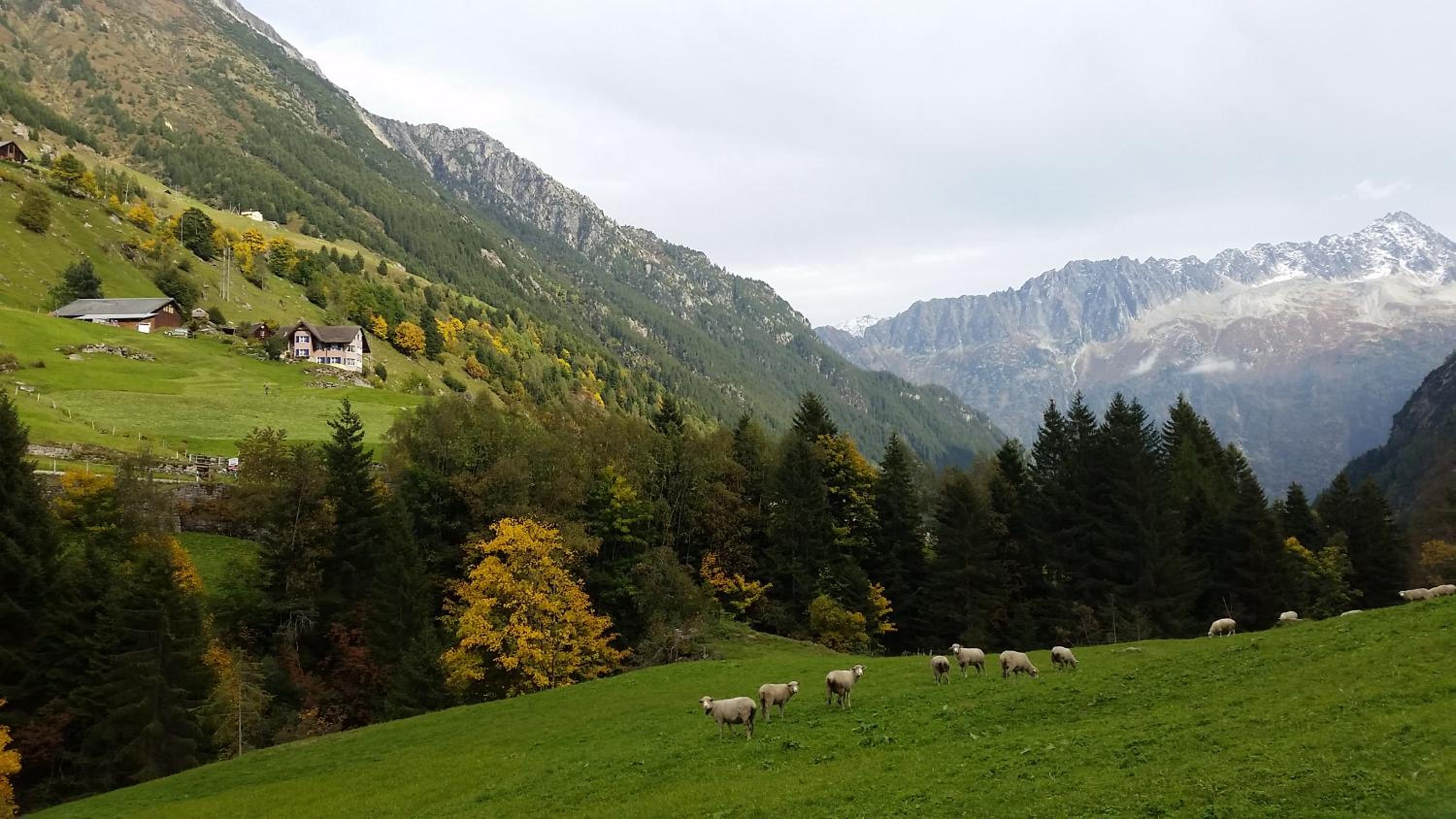 Gästehaus Alpenglühn