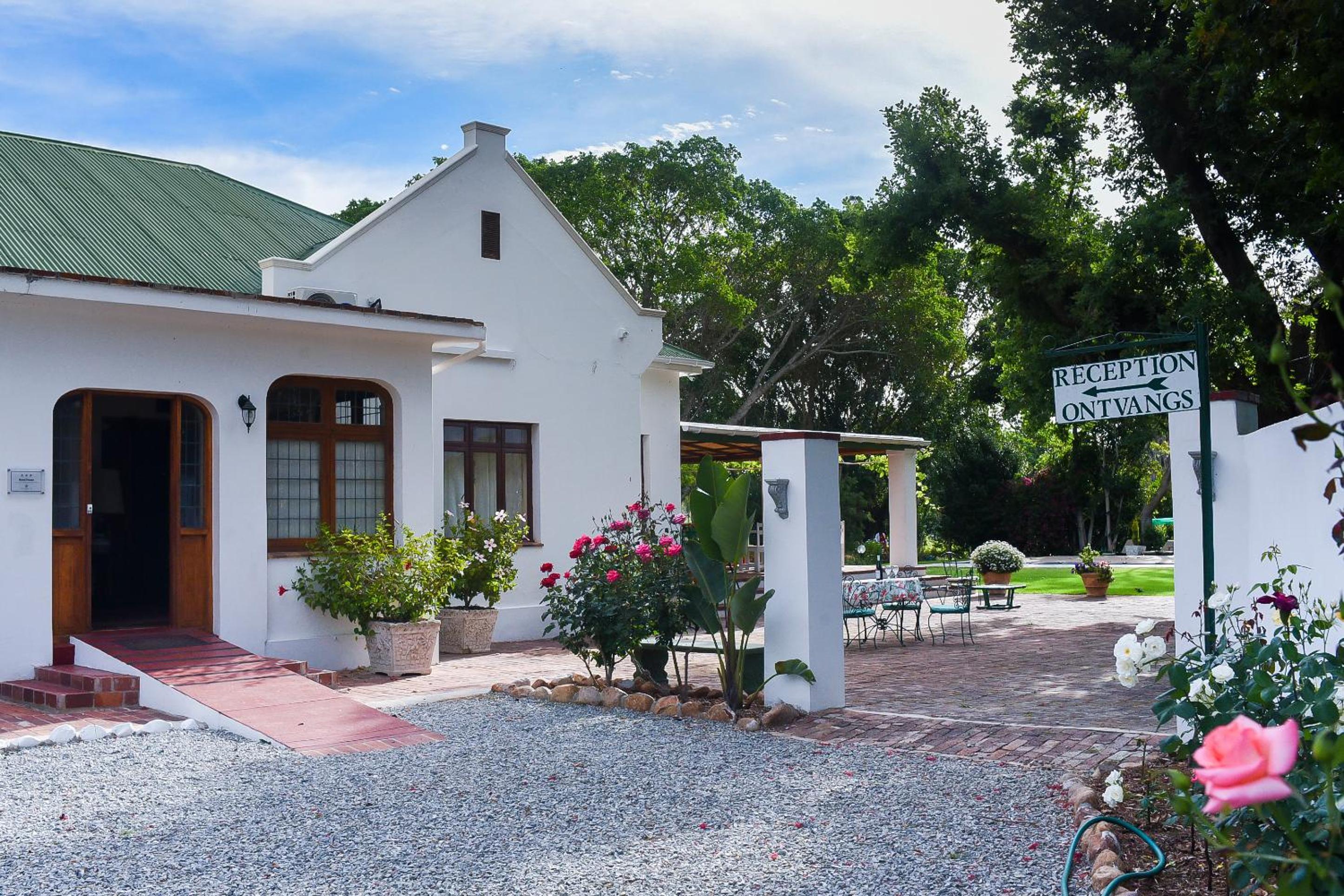 Green Olive Guesthouse