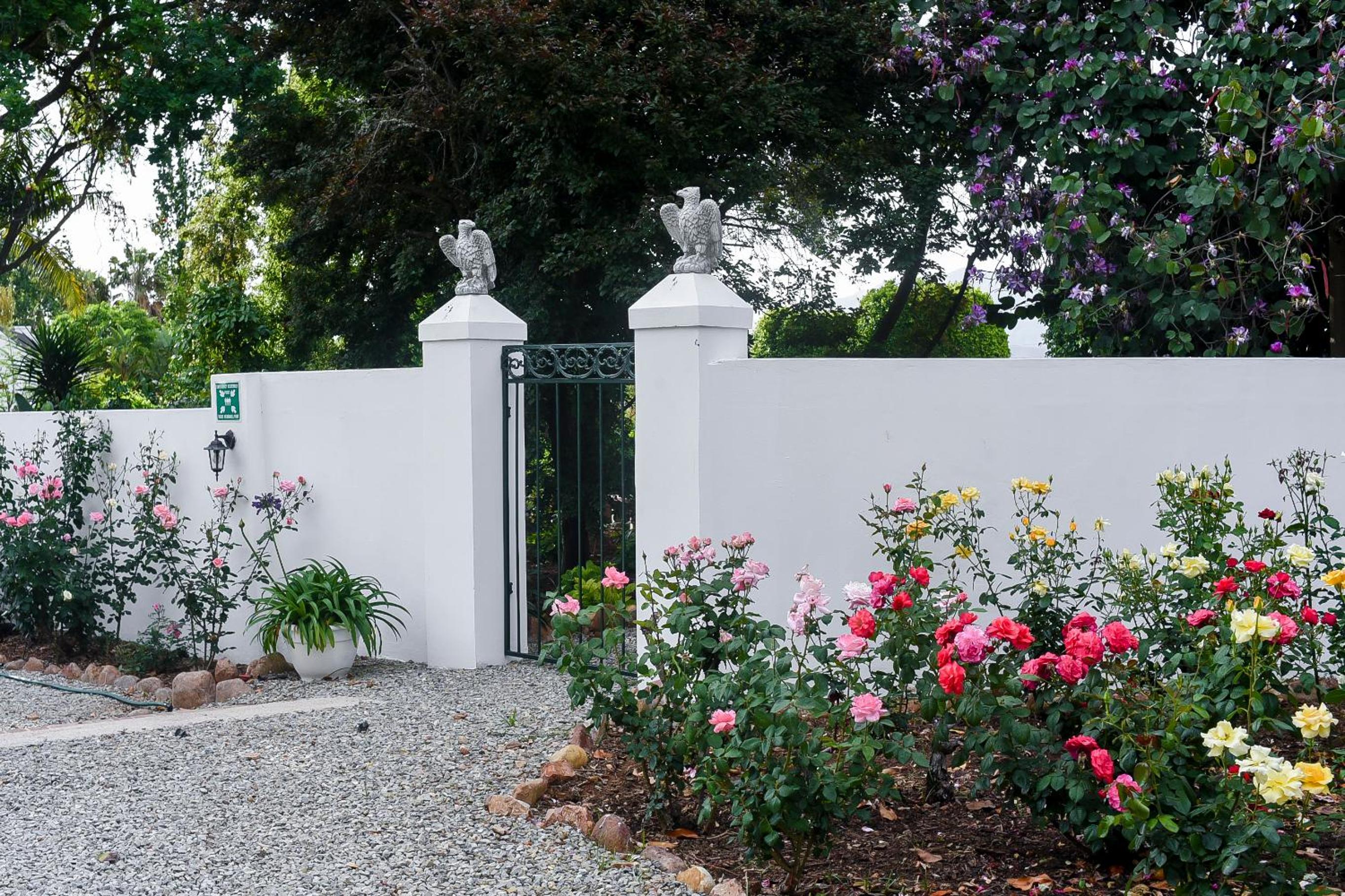 Green Olive Guesthouse
