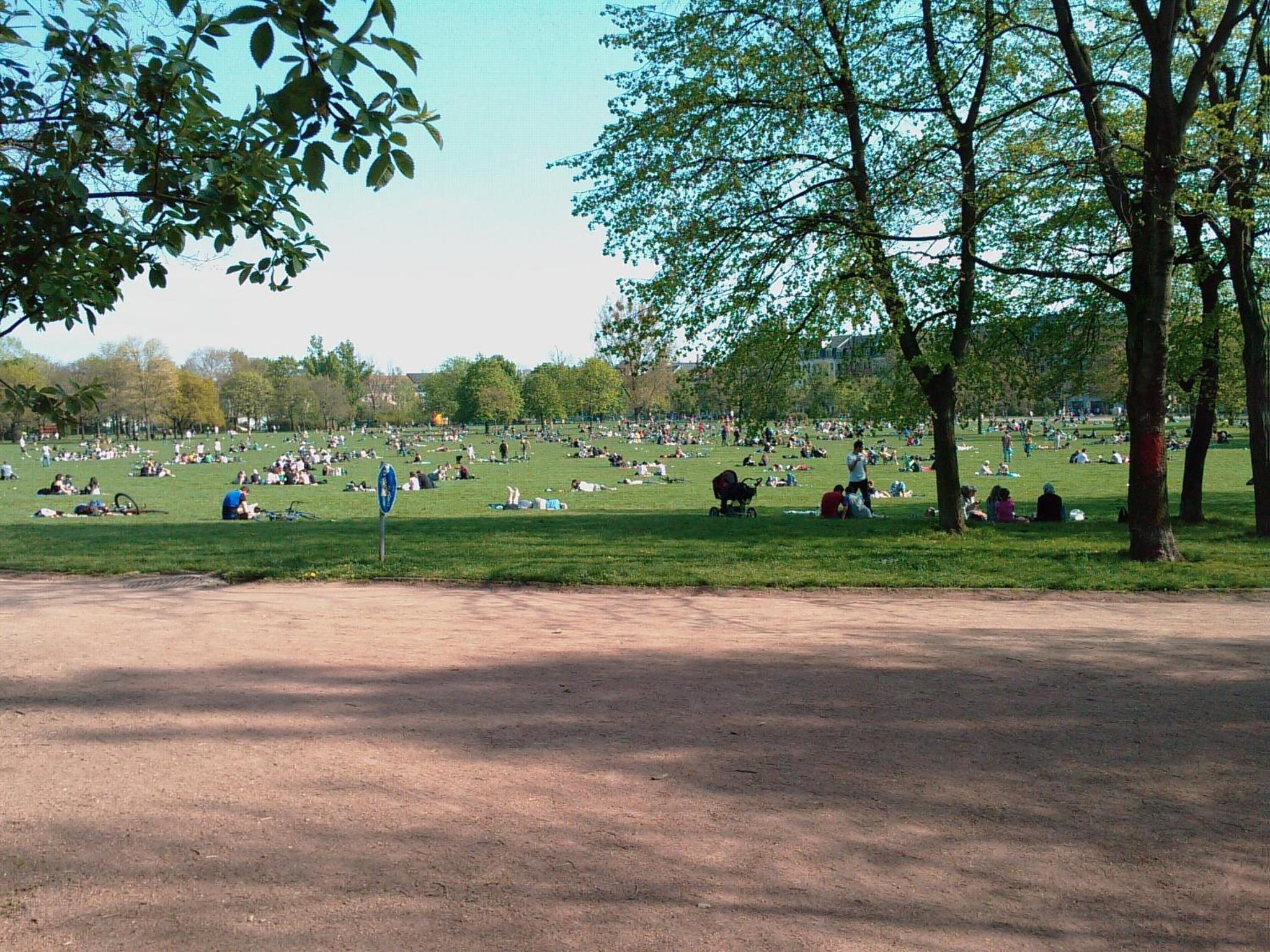Photo 40